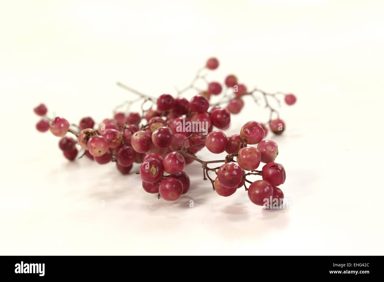 Peperone rosso Foto Stock