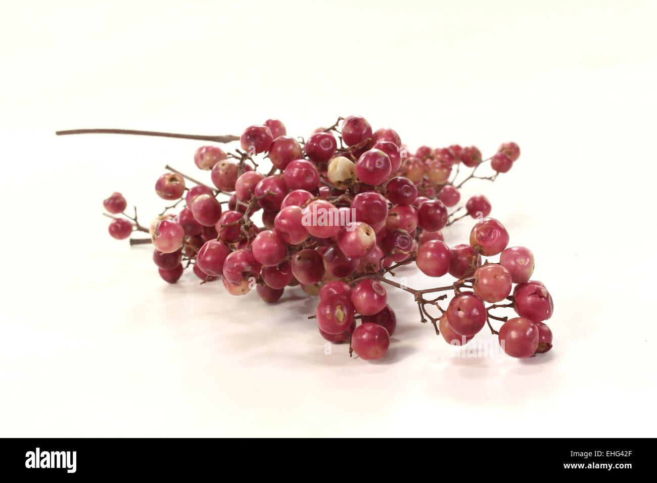 pepe rosso ramoscello Foto Stock