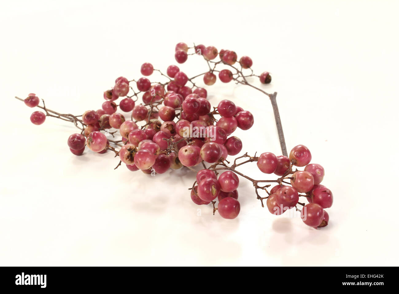 Peperoni rossi secchi Foto Stock