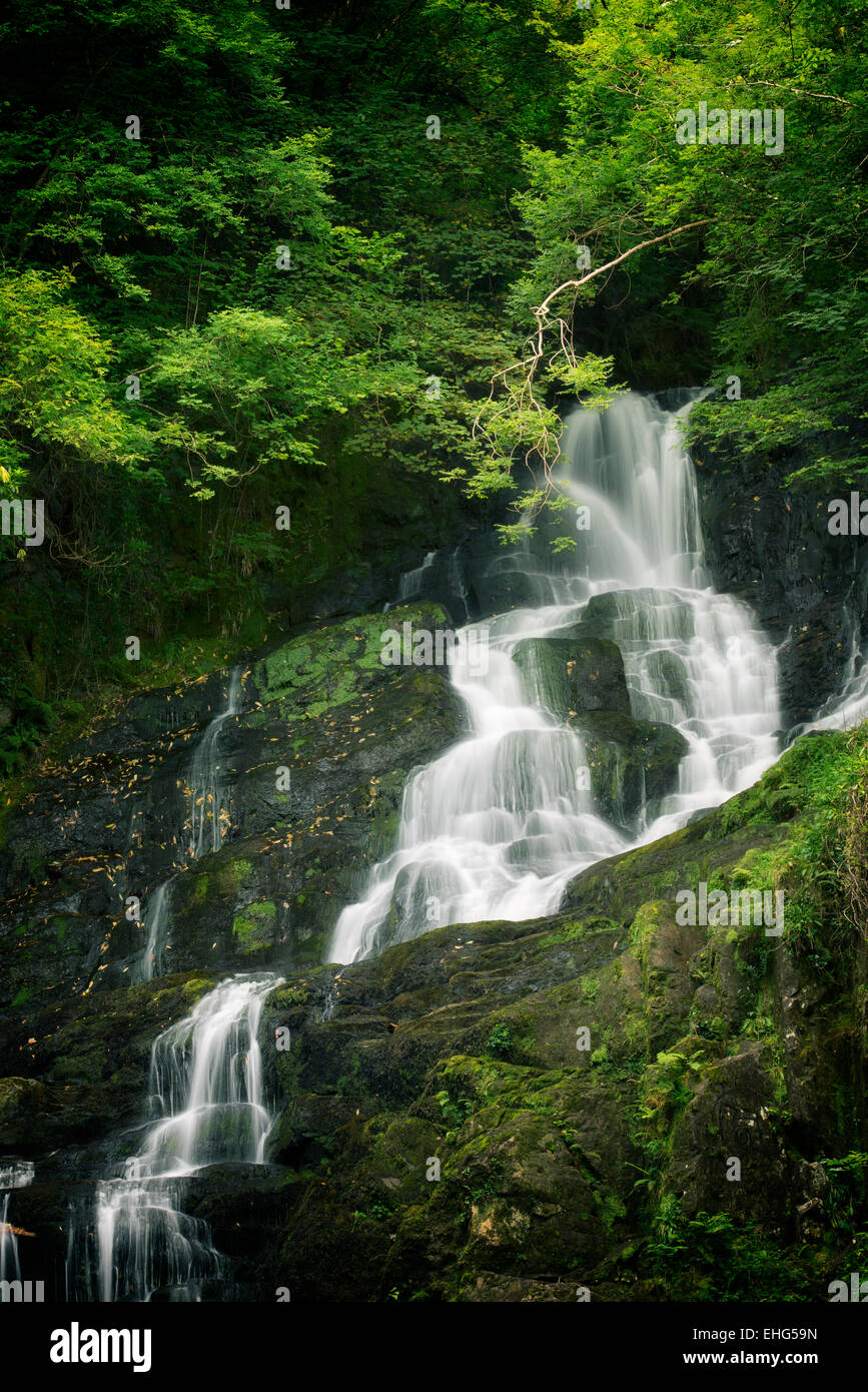 La coppia scende, Parco Nazionale di Killarney, Irlanda. Foto Stock