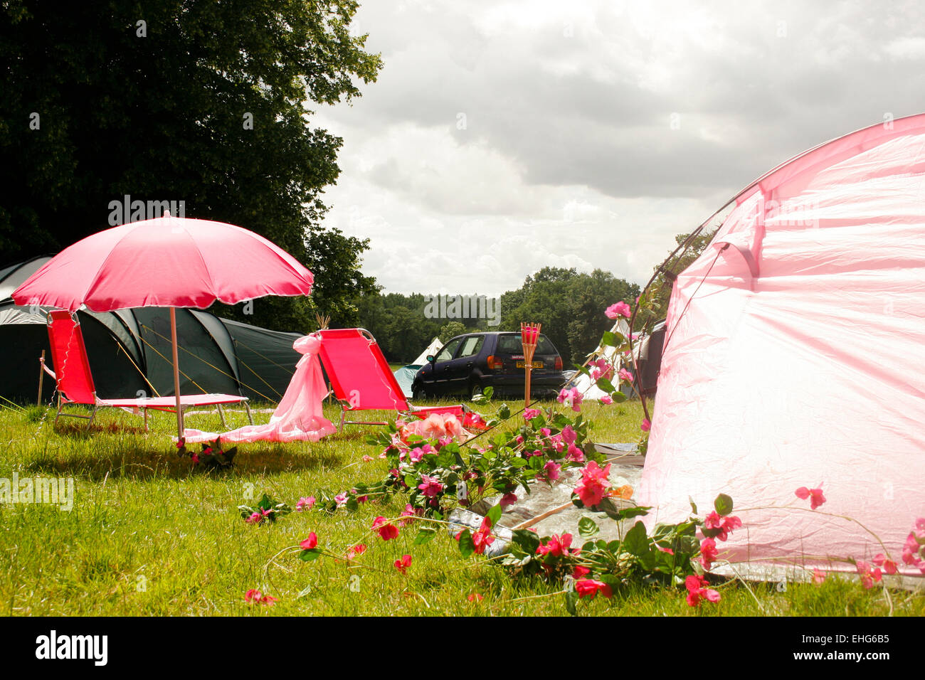 Rosa grazioso campo presso un festival a Londra. Foto Stock