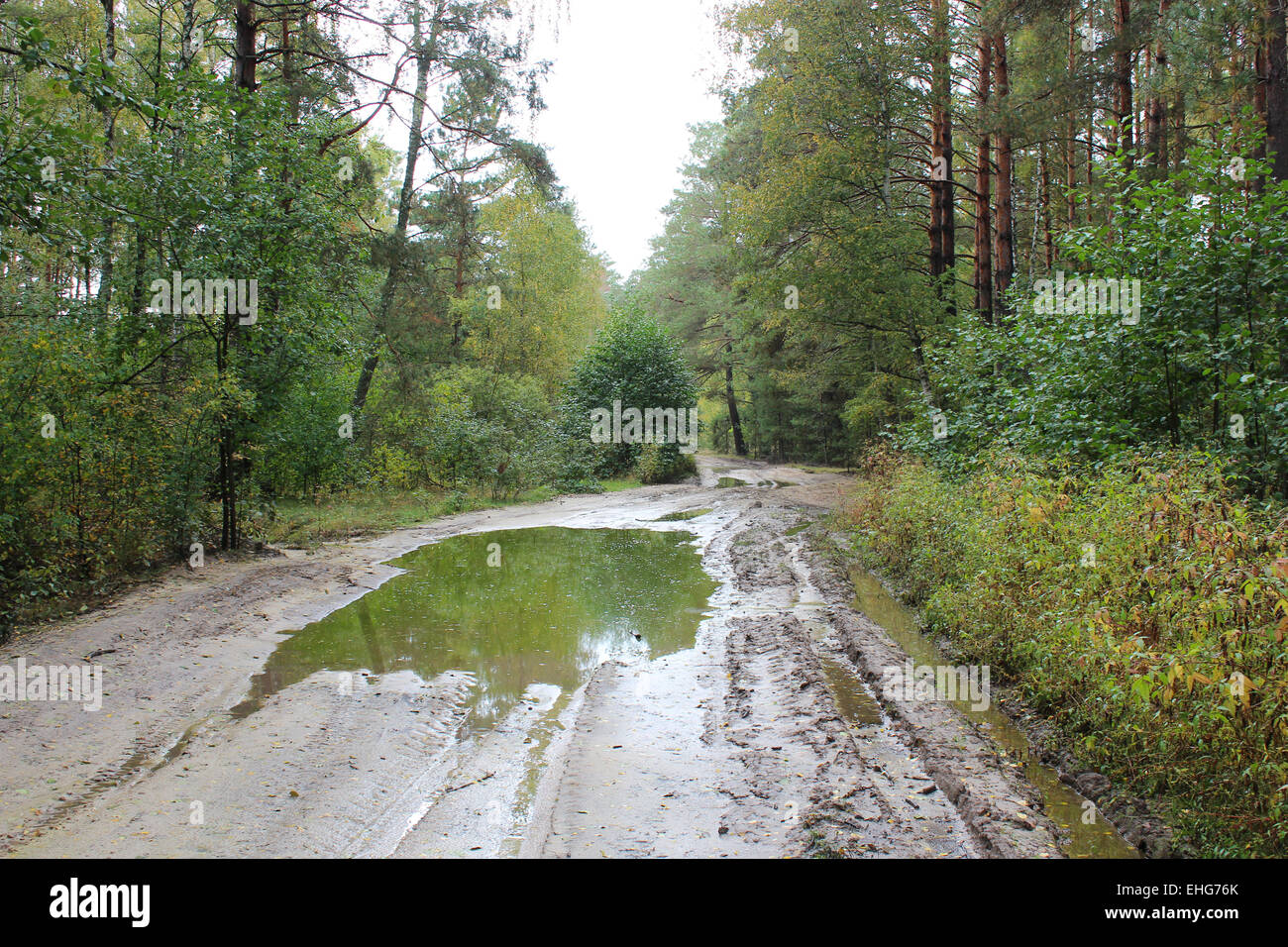 Strada forestale con grande piscina e sporco dopo la pioggia Foto Stock