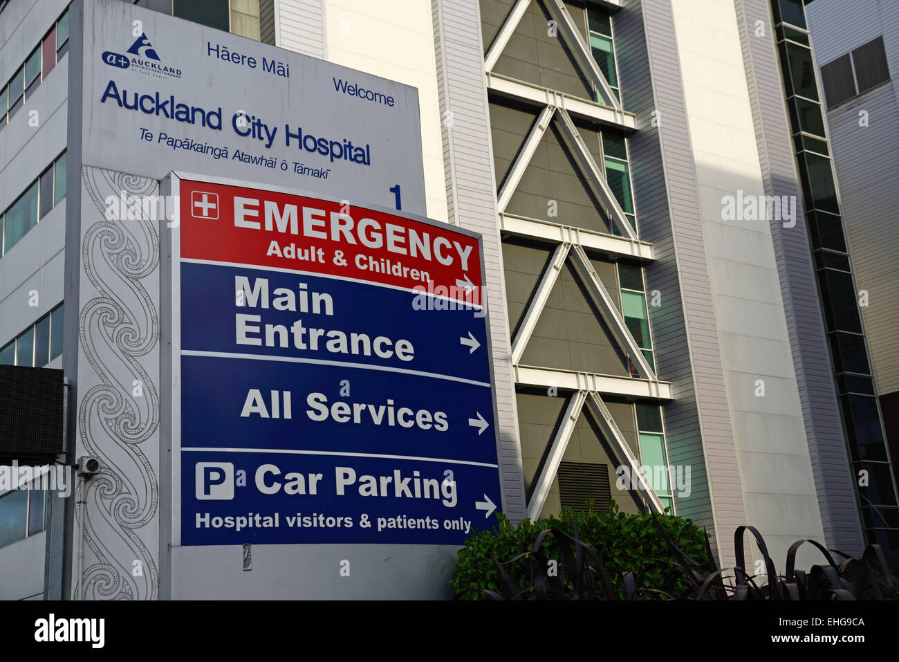 Segnaletica per l'ingresso a Auckland City Hospital, Nuova Zelanda Foto Stock