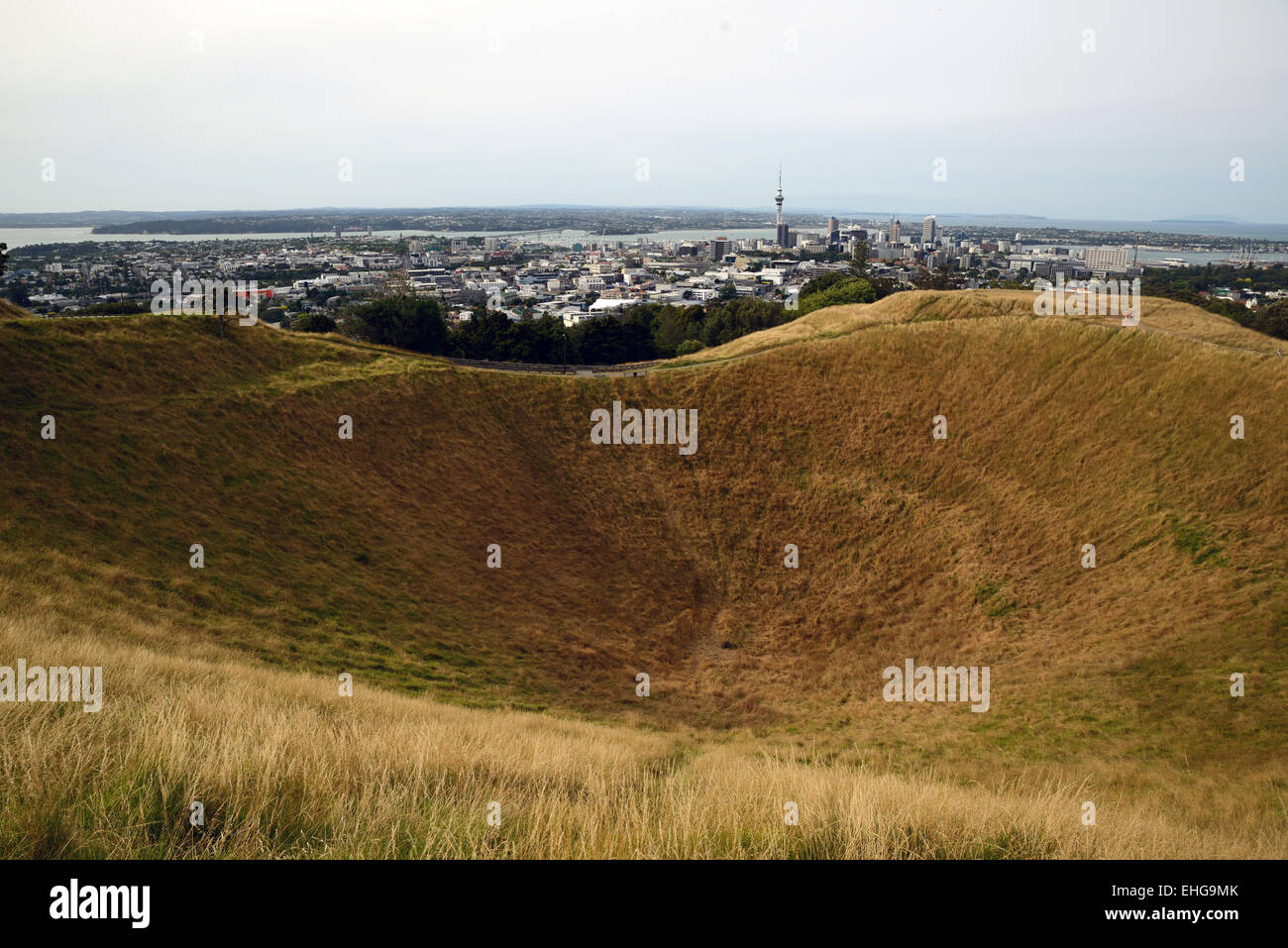 Il cratere del monte Eden vulcano con Auckland City skyline, Northland e Nuova Zelanda Foto Stock