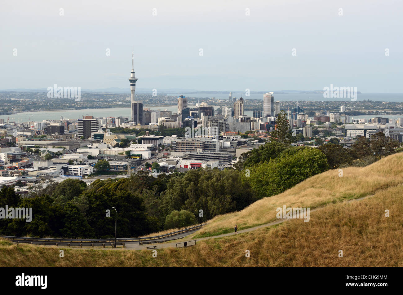 Auckland Central Business District dal monte Eden lookout, Auckland, Nuova Zelanda Foto Stock