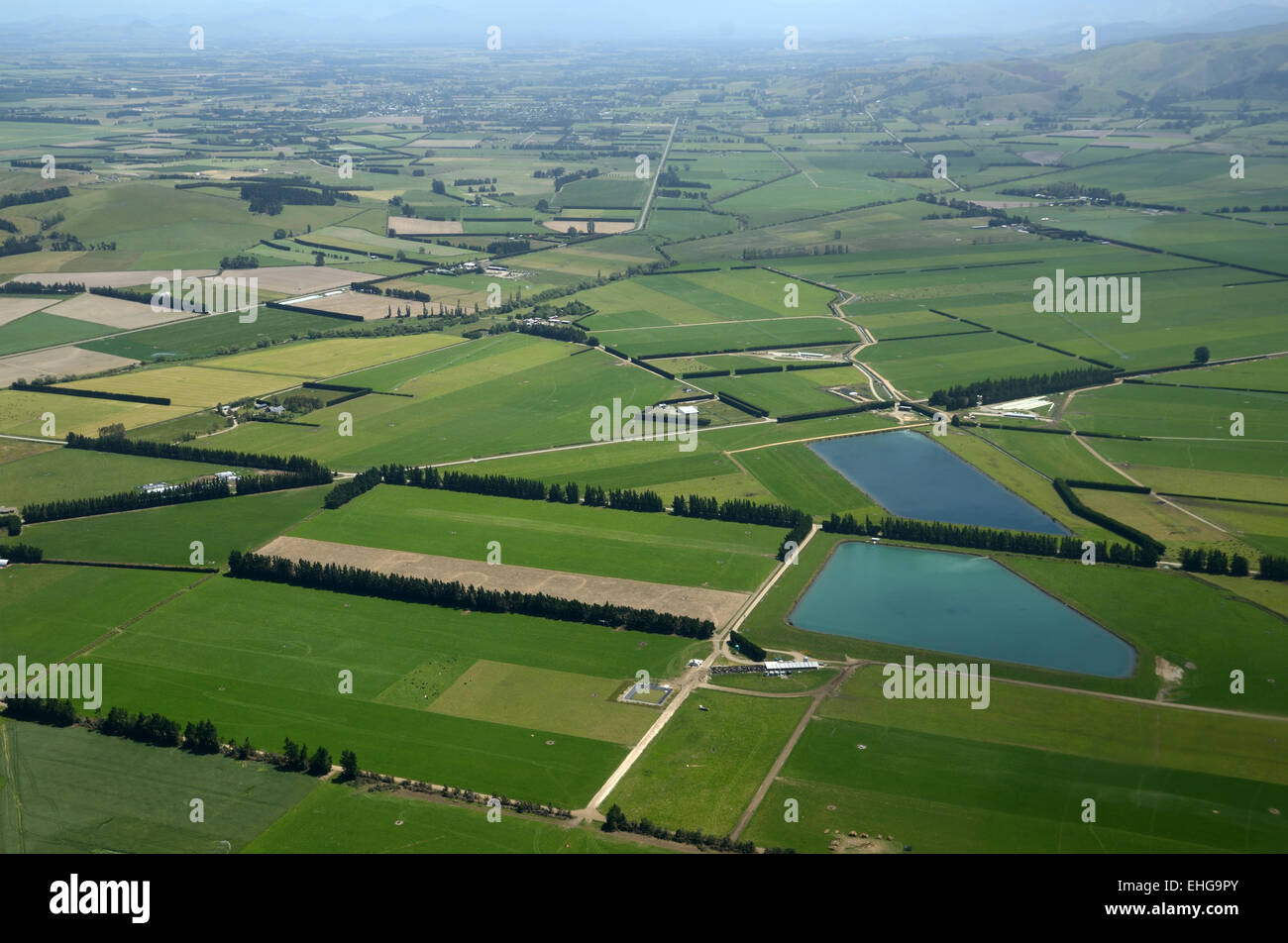 Antenna della latteria e ritaglio di aziende agricole a Canterbury, Isola del Sud, Nuova Zelanda Foto Stock