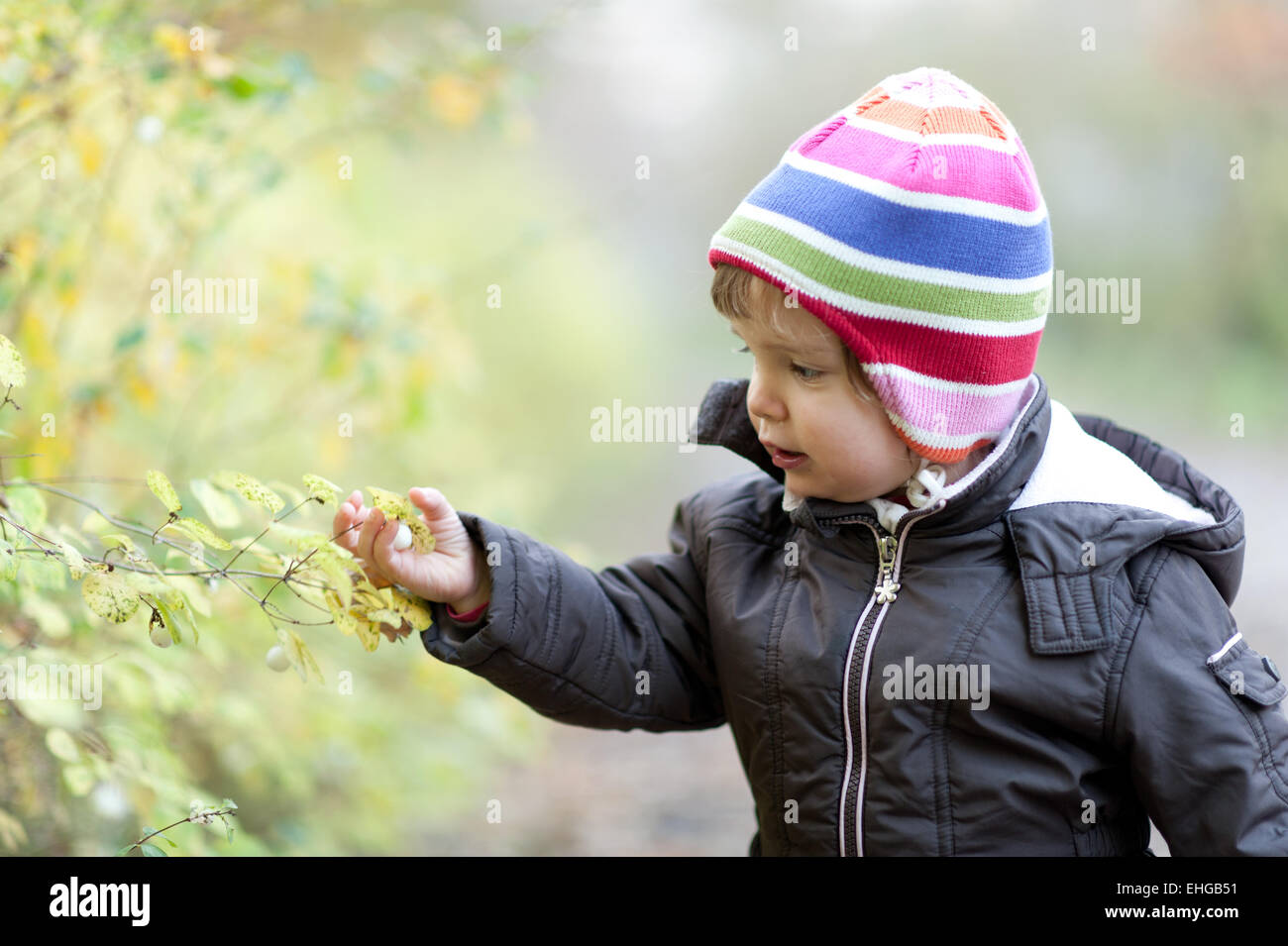 Bambina con cappuccio in autunno Foto Stock