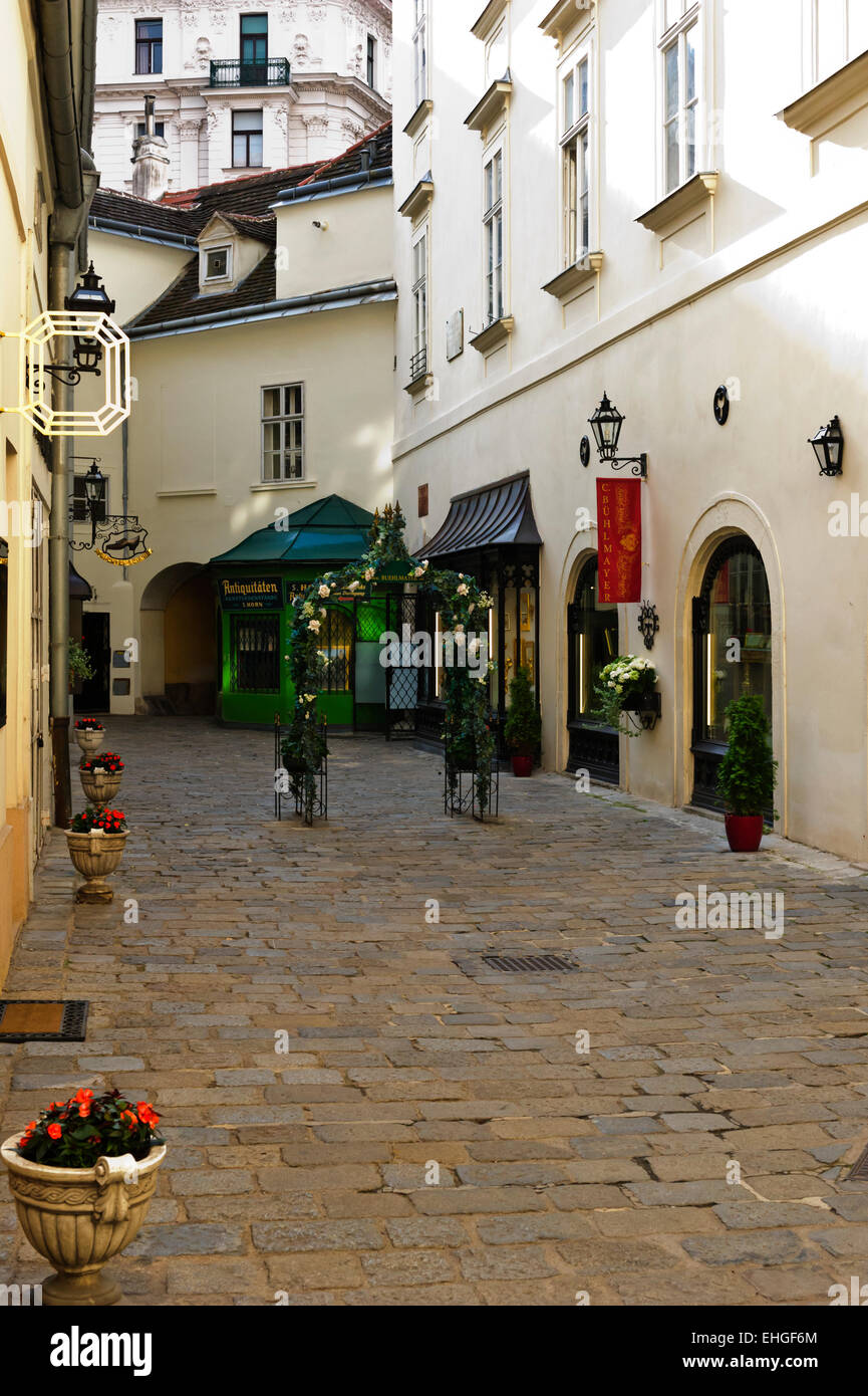 Un piccolo vicolo con una fila di negozi di lusso di Vienna in Austria Foto  stock - Alamy