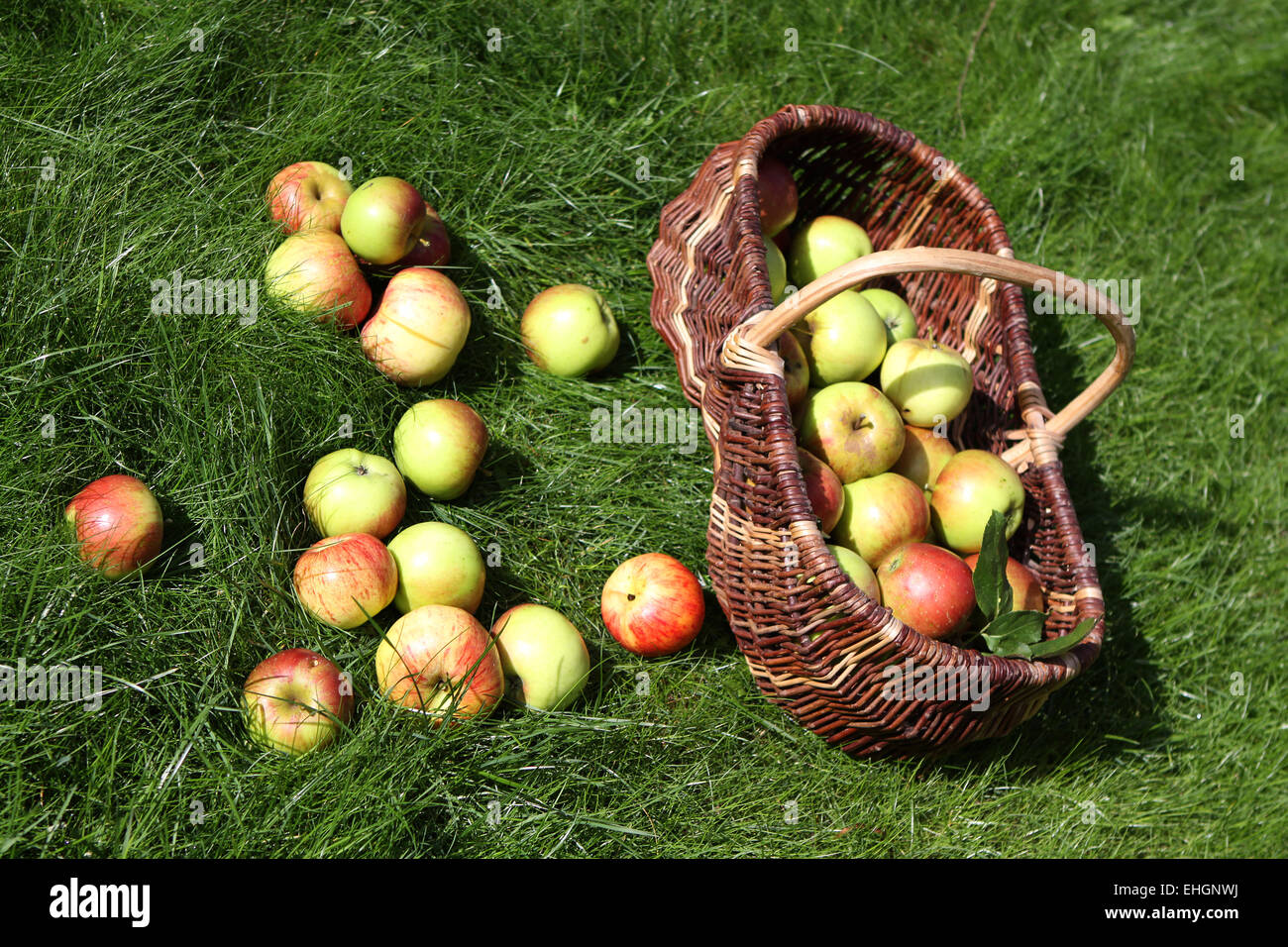 Apple Foto Stock