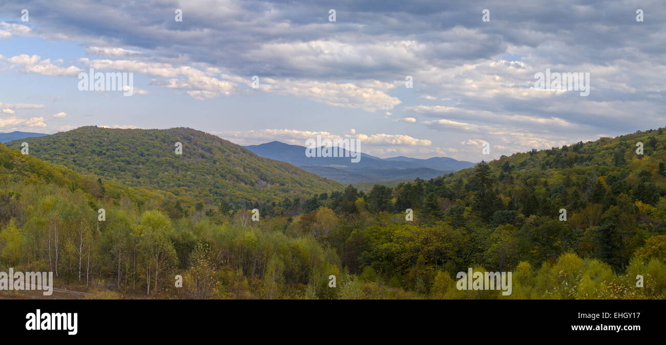 La Taiga Ussuriisk un panorama Foto Stock