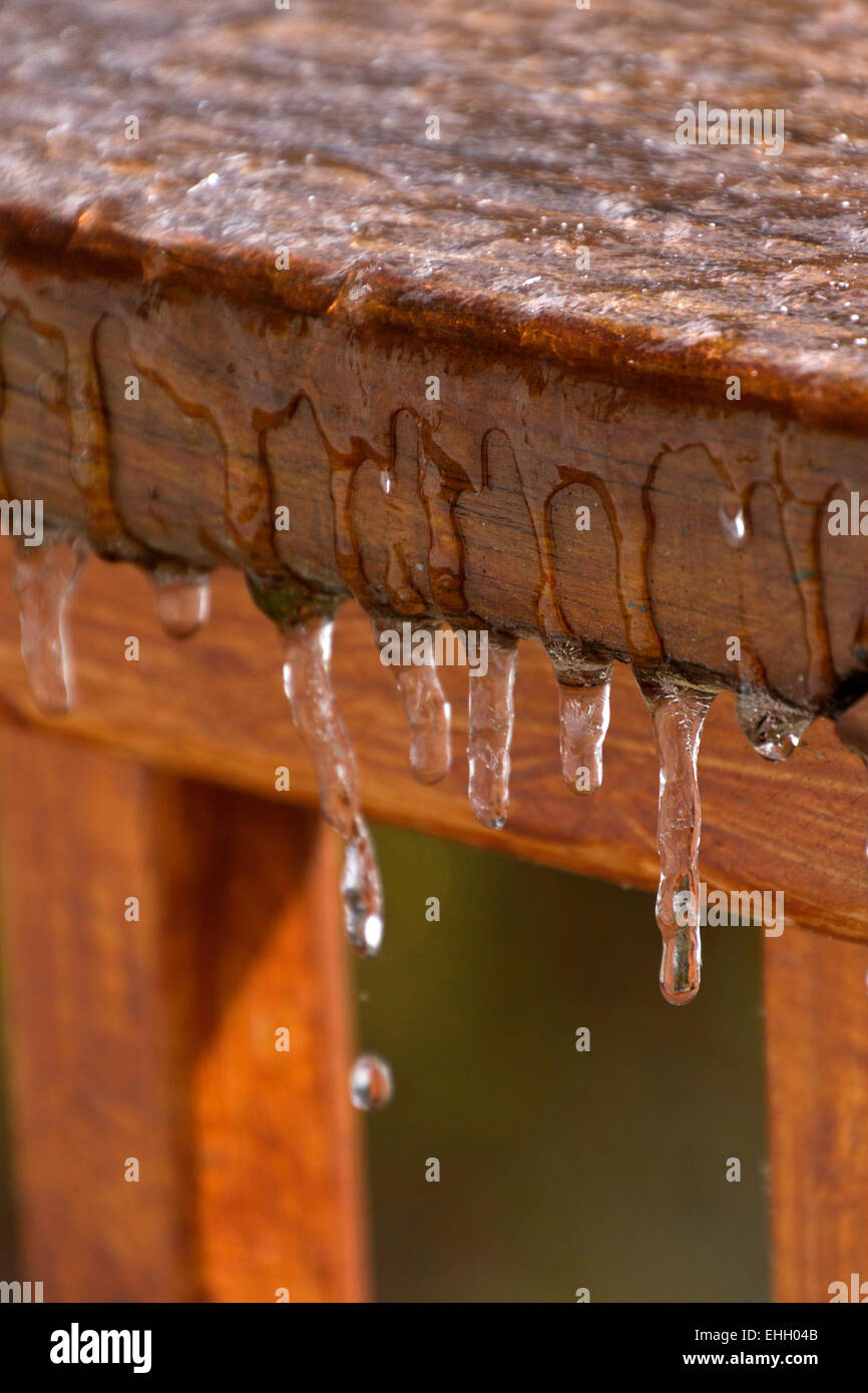 Piccoli ghiaccioli di fusione di sgocciolamento un ponte di legno della ringhiera in un disgelo invernale Foto Stock