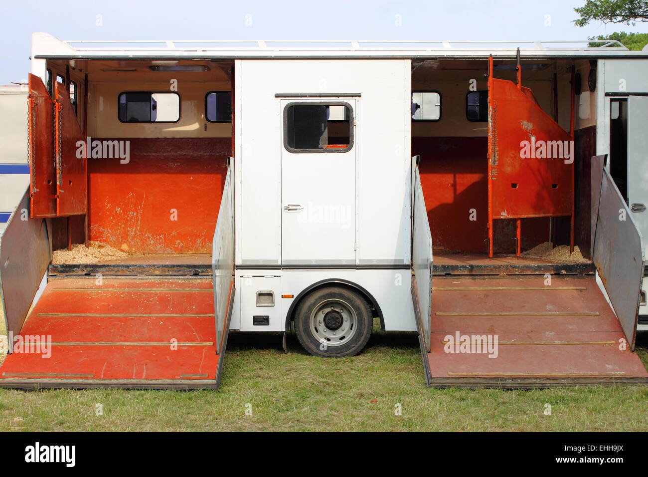 Il trasporto di cavalli van Foto Stock