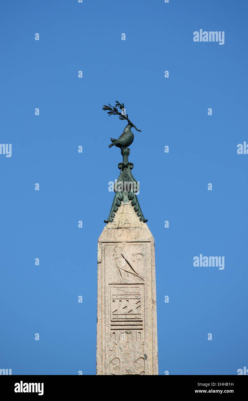 Il piccione di Piazza Navona Foto Stock