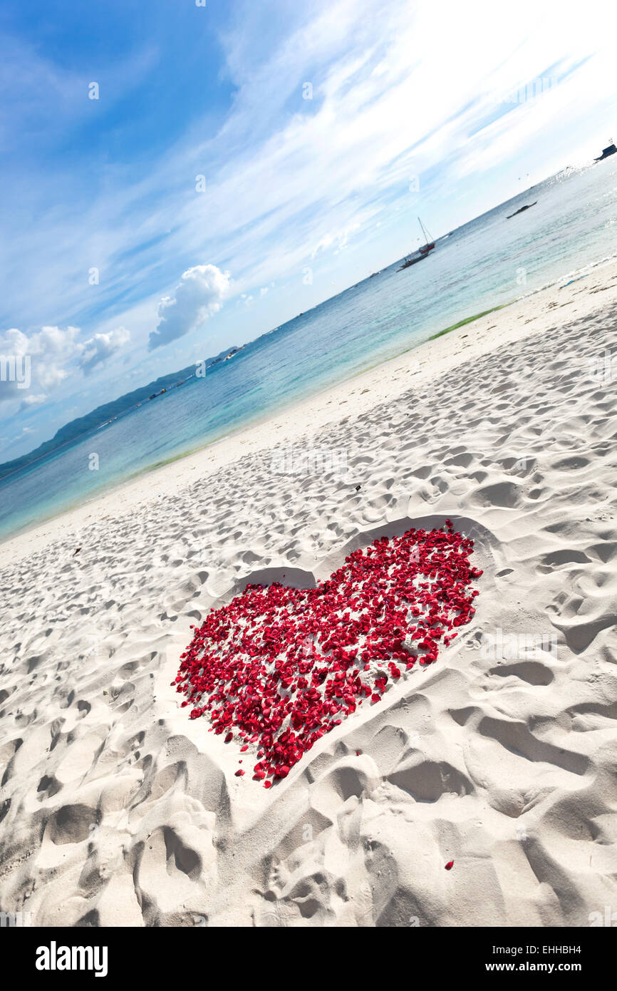 Cuore di petali di rose sulla spiaggia sabbiosa tropicale. Nessuno. Il concetto di amore Foto Stock