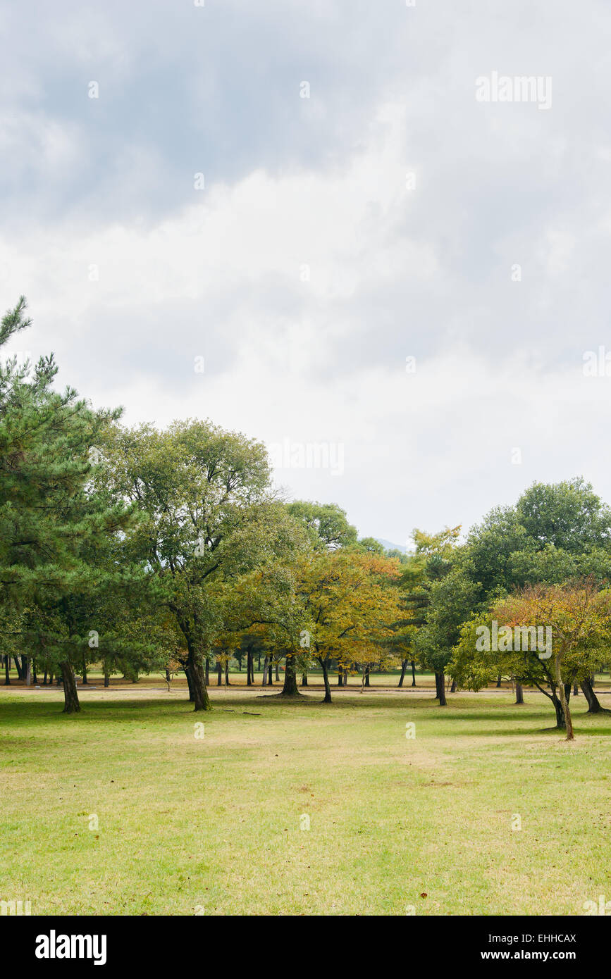 Paesaggio di alberi e prato in campo giorno nuvoloso Foto Stock