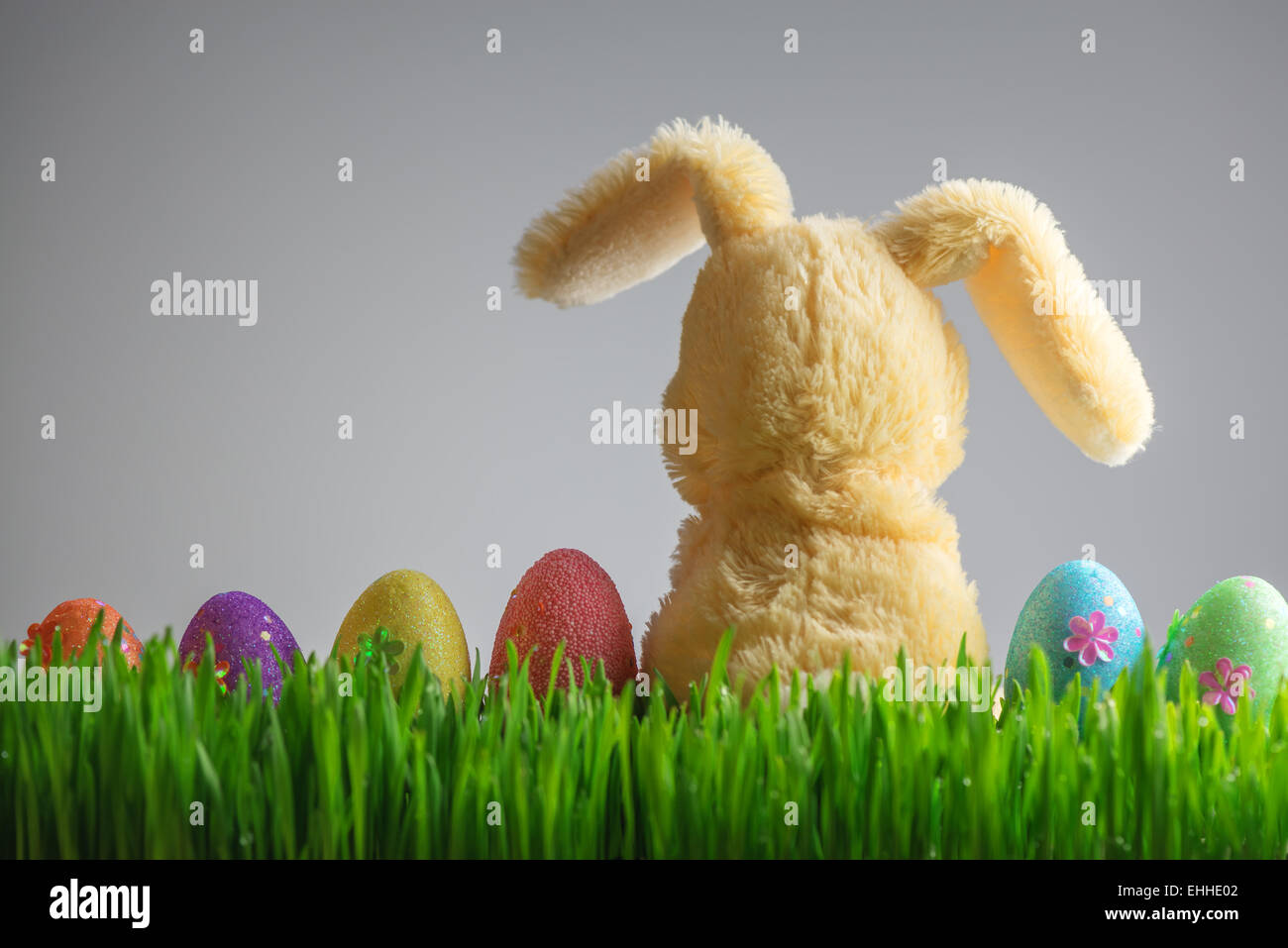 Sfondo di pasqua con bunny e uova Foto Stock