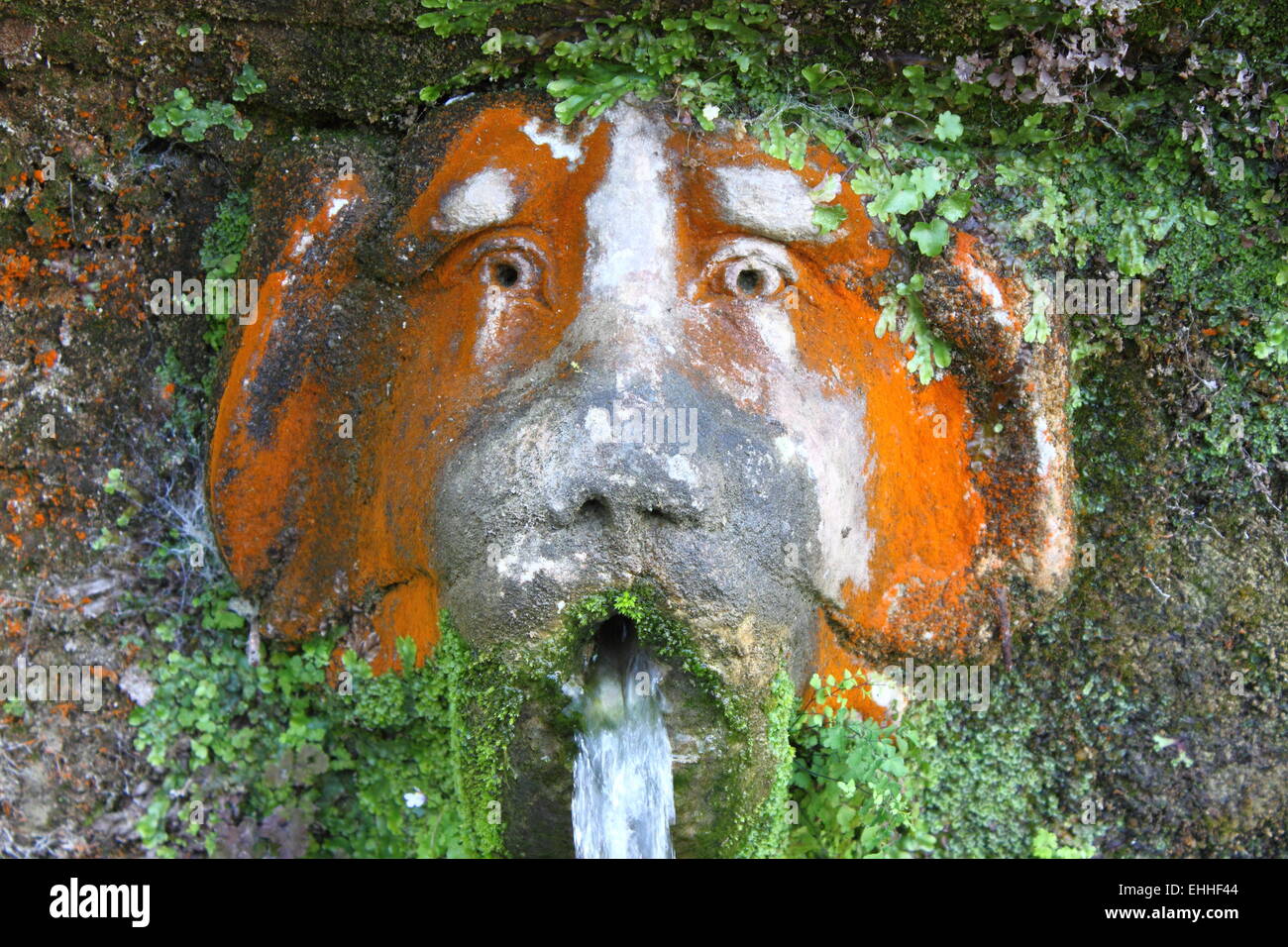 Fontana del cane in Villa d'Este di Tivoli Foto Stock