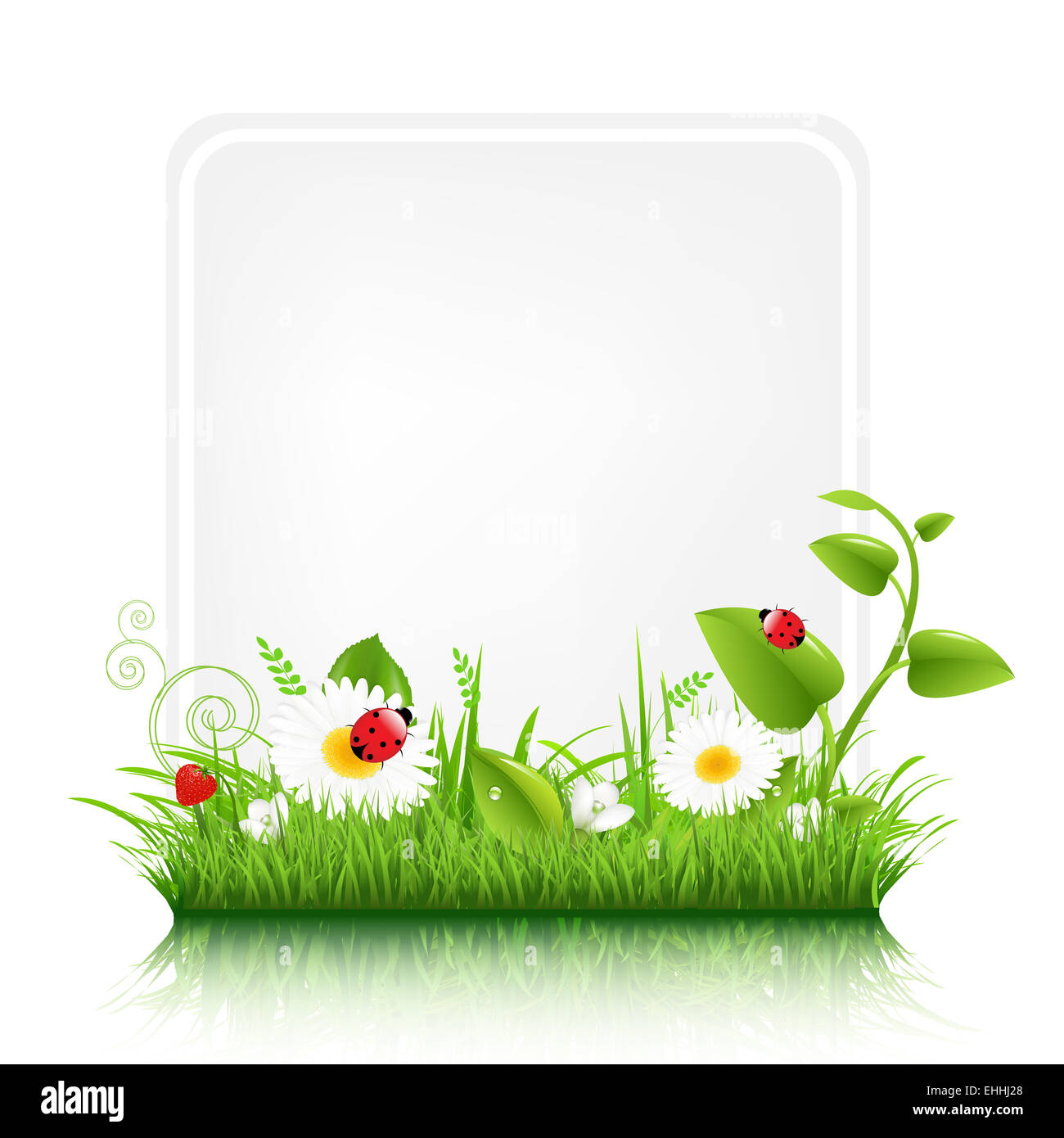 Blank Gift Tag con bordo di erba Foto Stock