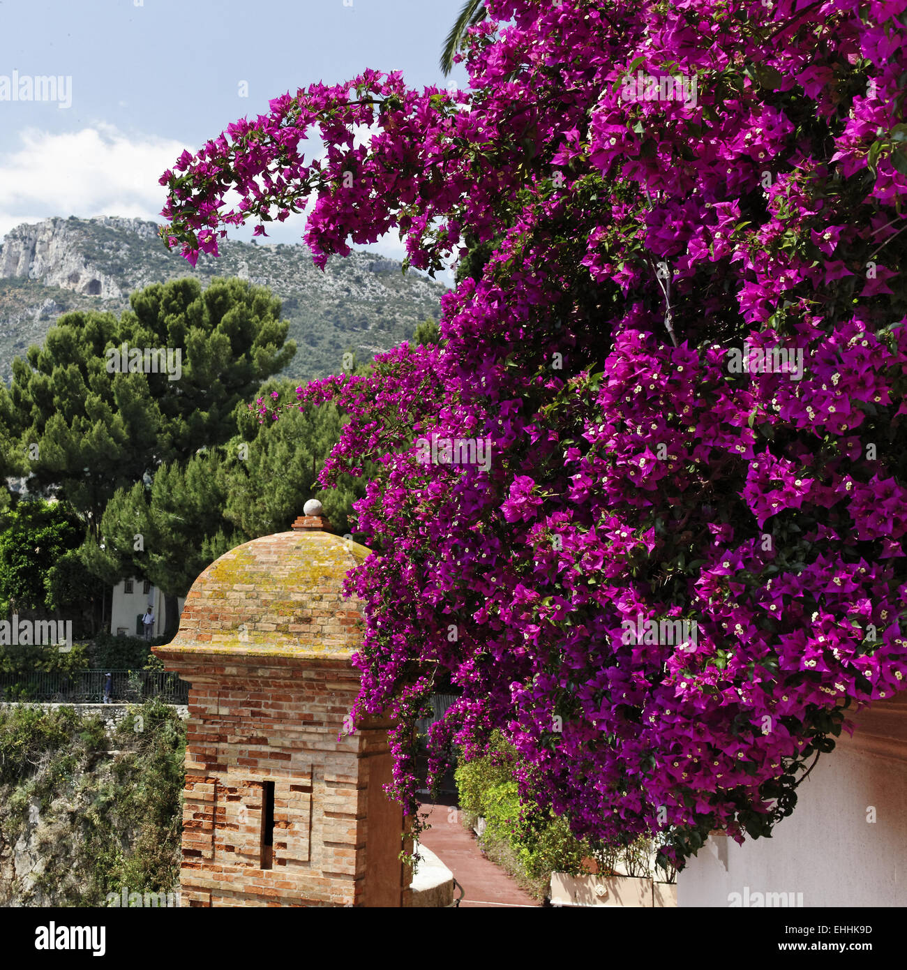 Il Principato di Monaco, splendido parco vicino al centro Foto Stock