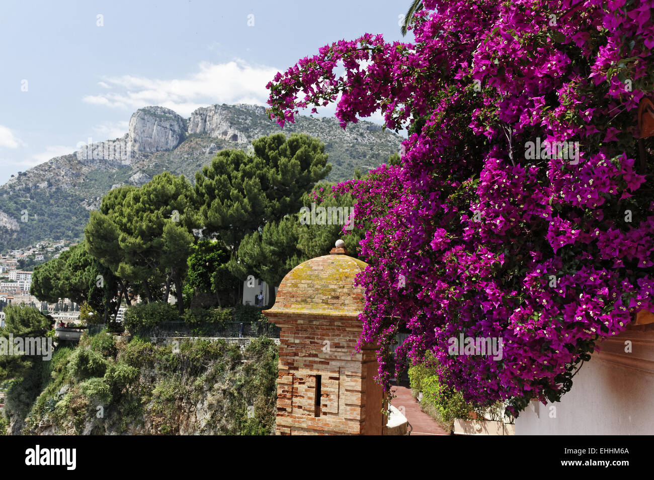 Il Principato di Monaco, splendido parco vicino al centro Foto Stock