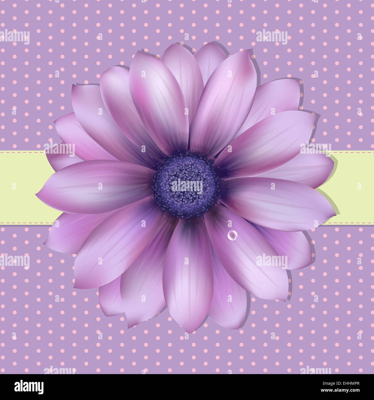 Sfondo lilla con Gerber Foto Stock