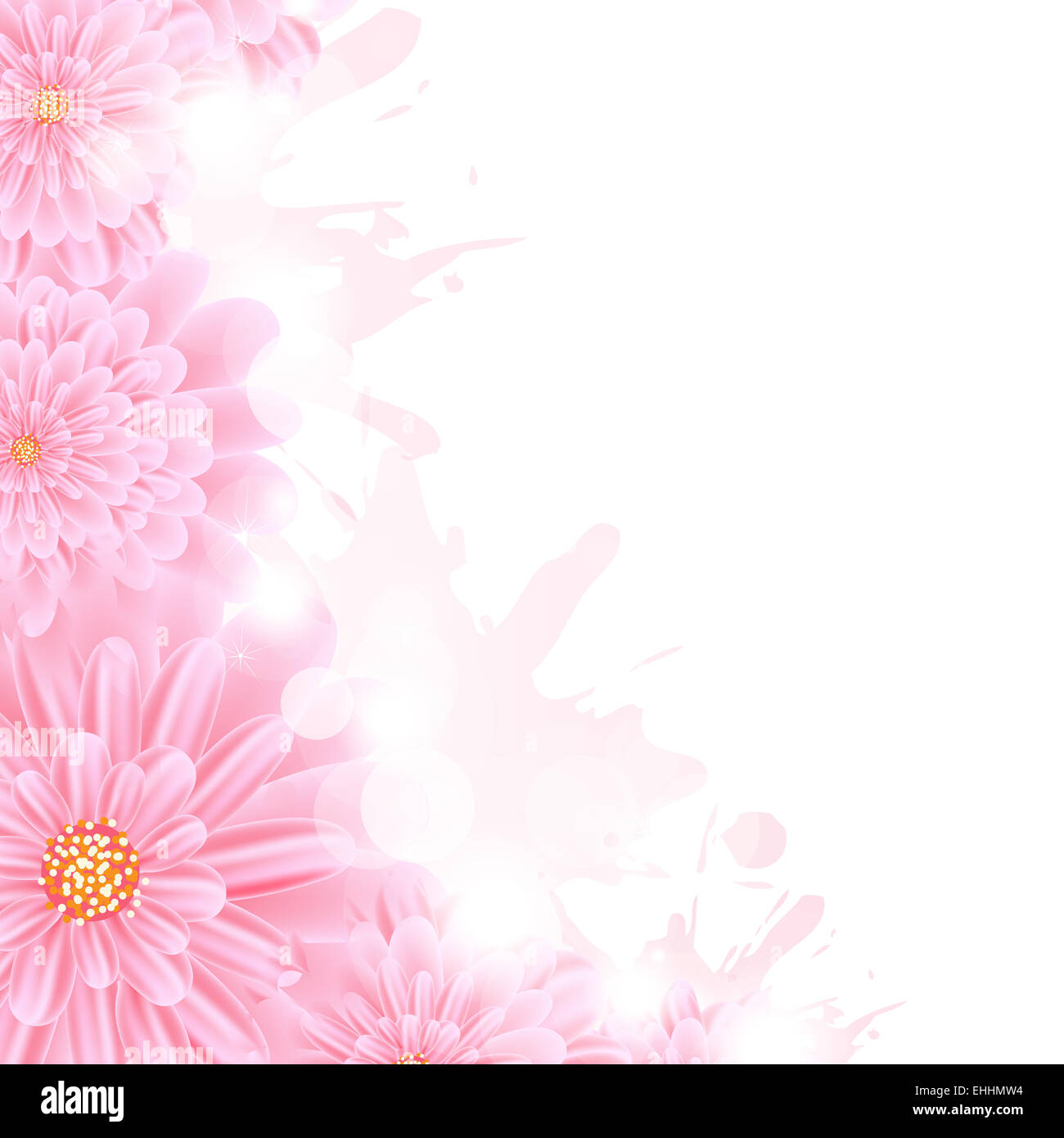 Rosa Gerber e spruzzi di vernice Foto Stock