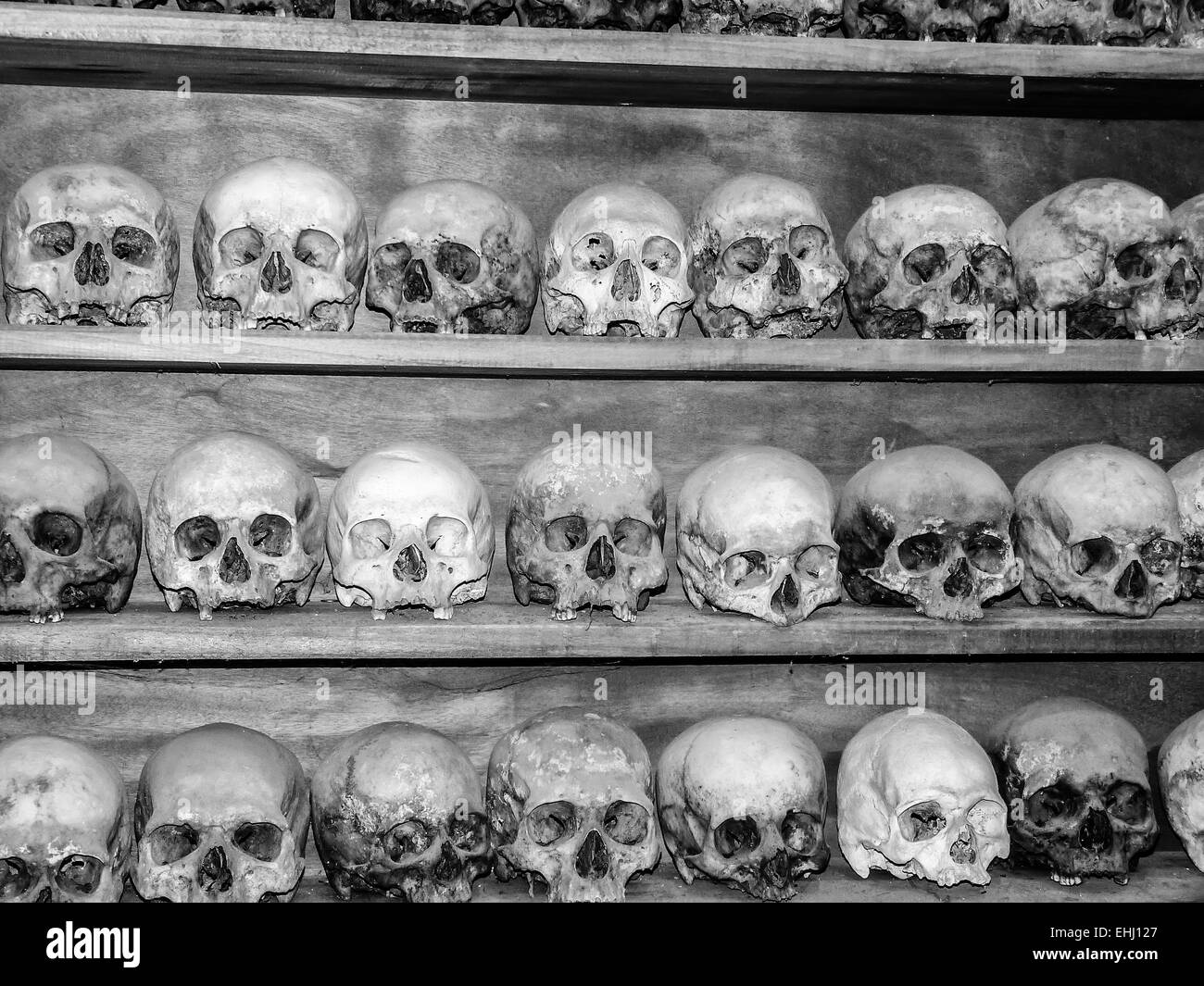 Raccolta di teschi umani - immagine in bianco e nero Foto Stock