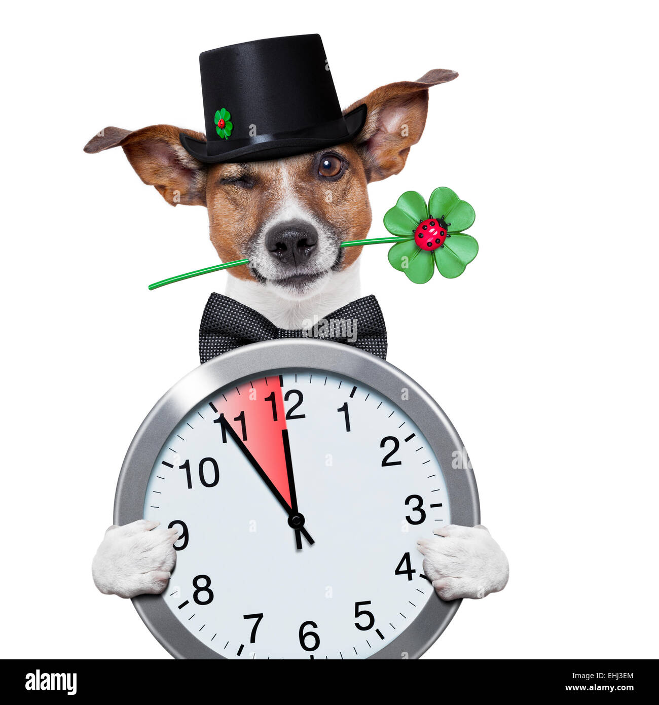 Spazzacamino cane orologio orologio Foto Stock