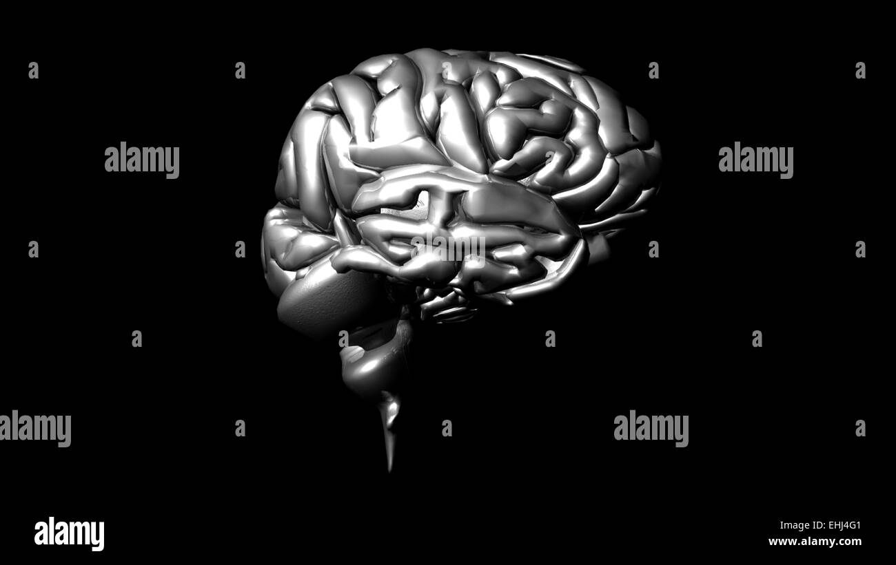 Altamente dettagliate animazione di un cervello umano Foto Stock