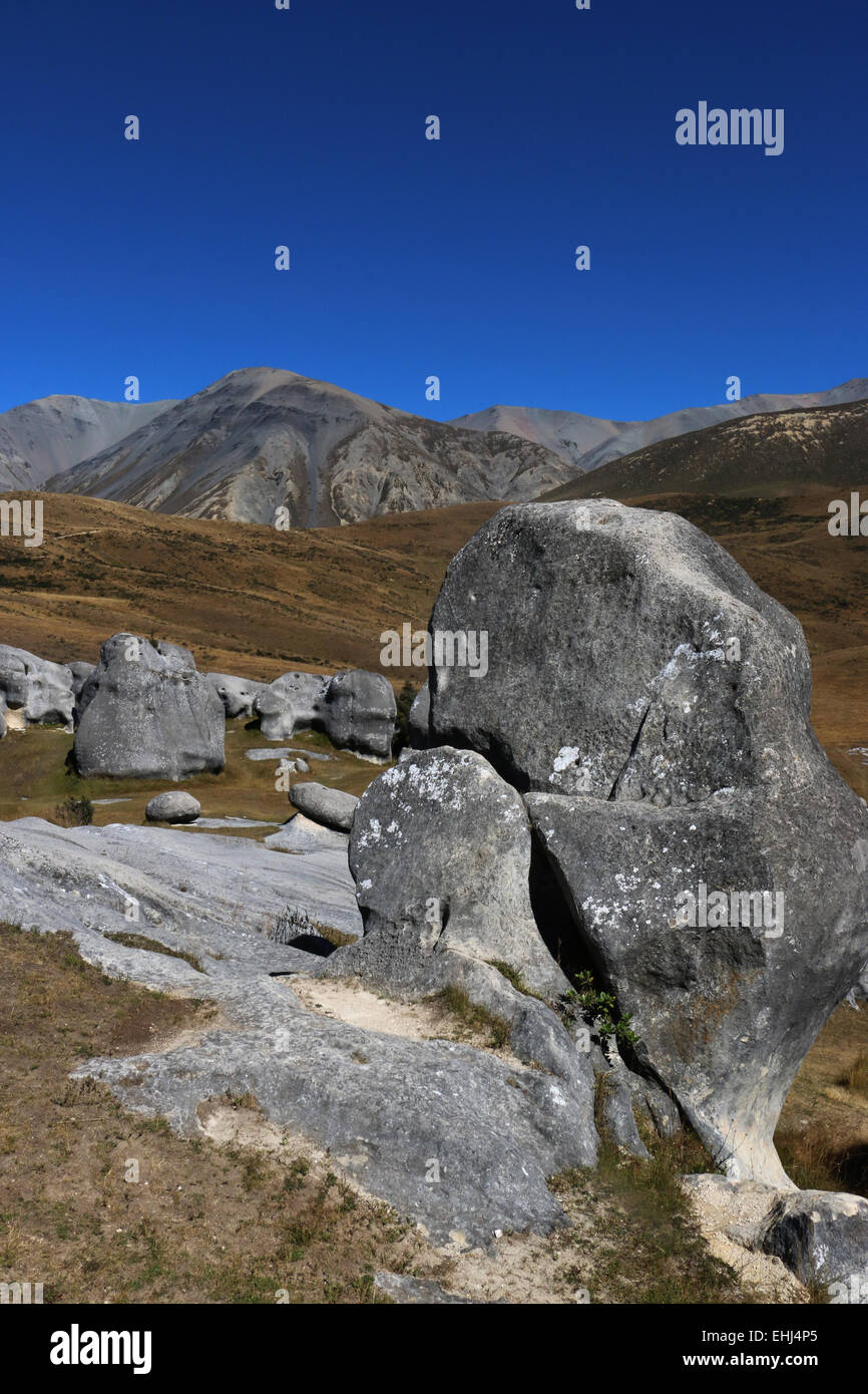 La Collina del Castello Area di Conservazione, Nuova Zelanda park preservare calcare bouldering boulder salire a piedi Kura Tawhiti Area di Conservazione Foto Stock