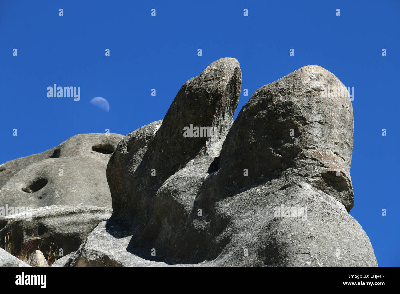 Luna sulla Collina del Castello Area di Conservazione, Nuova Zelanda Foto Stock