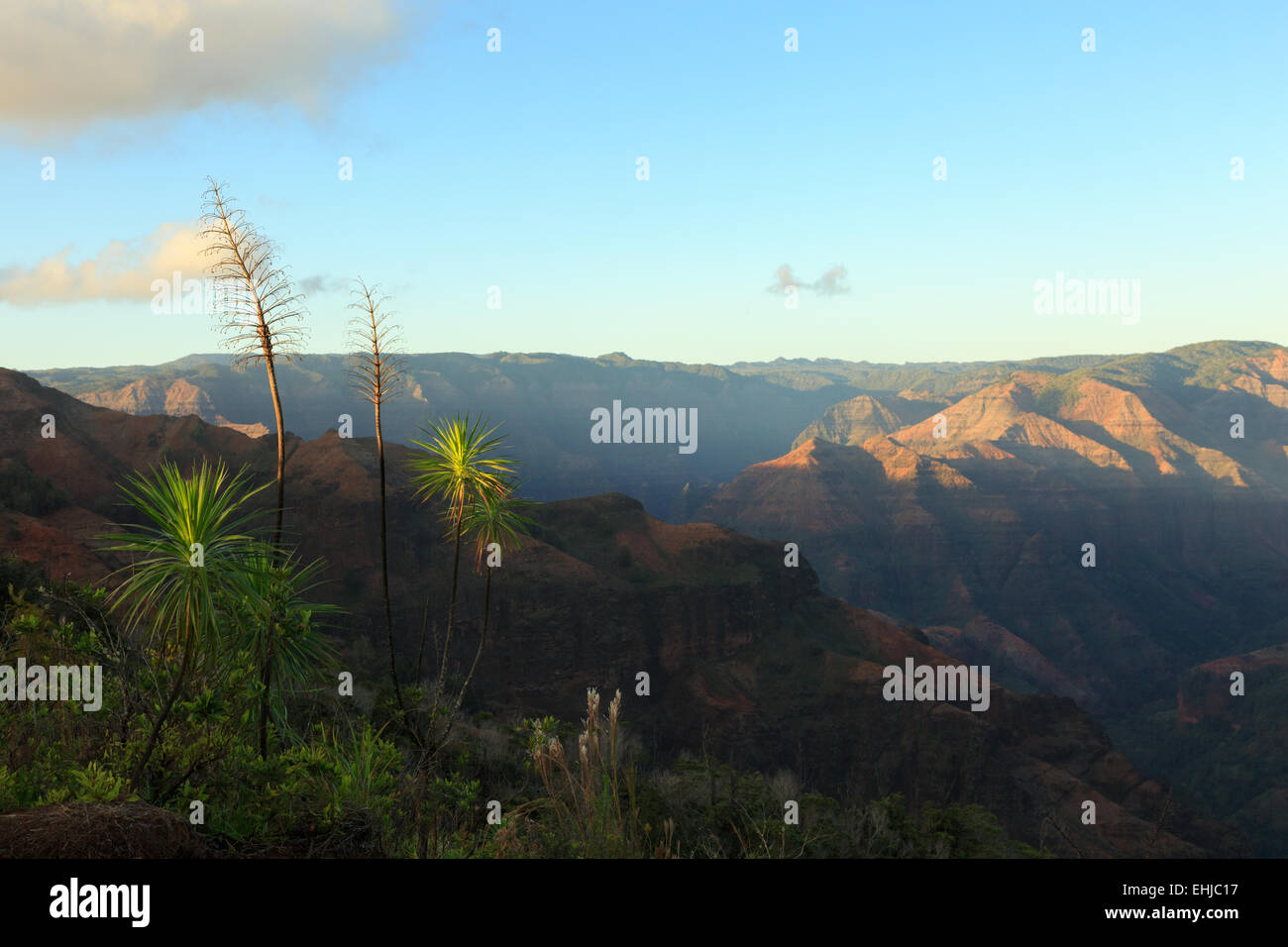 Vista sul Canyon di Waimea, Isola di Kauai, Hawaii Foto Stock
