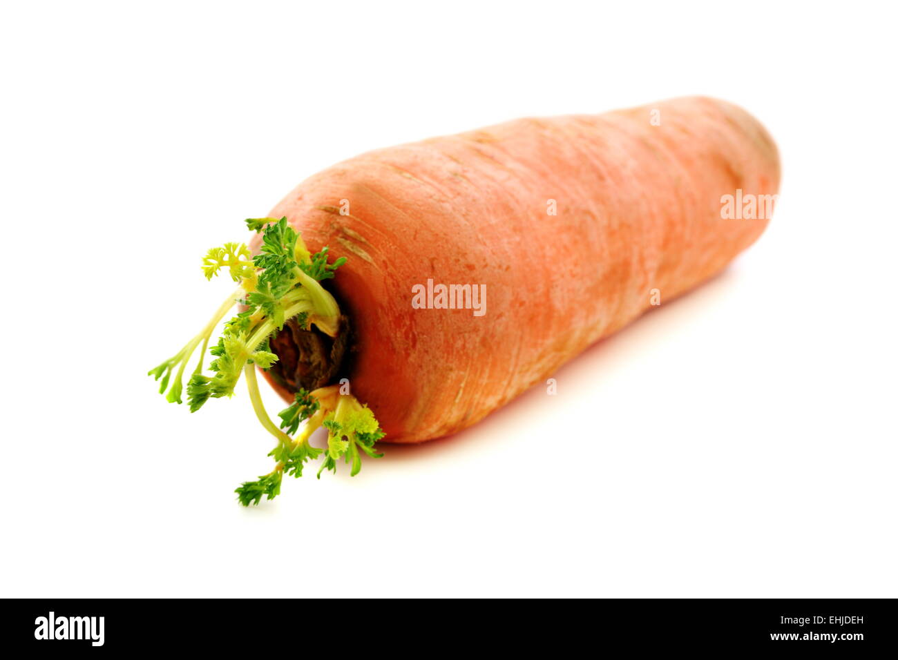 Le carote con germogli verdi. Foto Stock