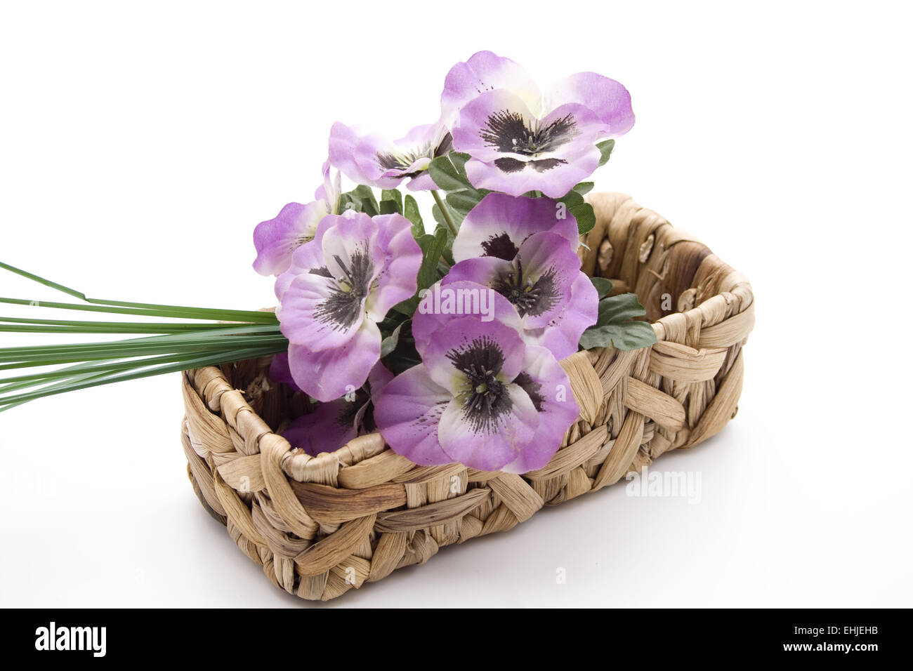 Malva decorazione floreale nel cestello Foto Stock