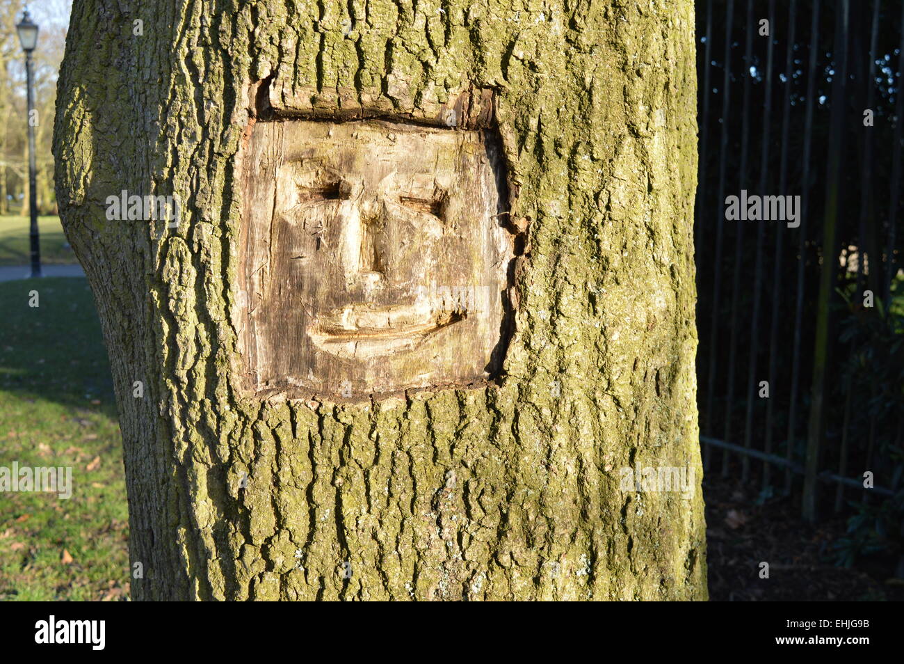 Una faccia felice incanalato sul corpo di un albero Foto Stock