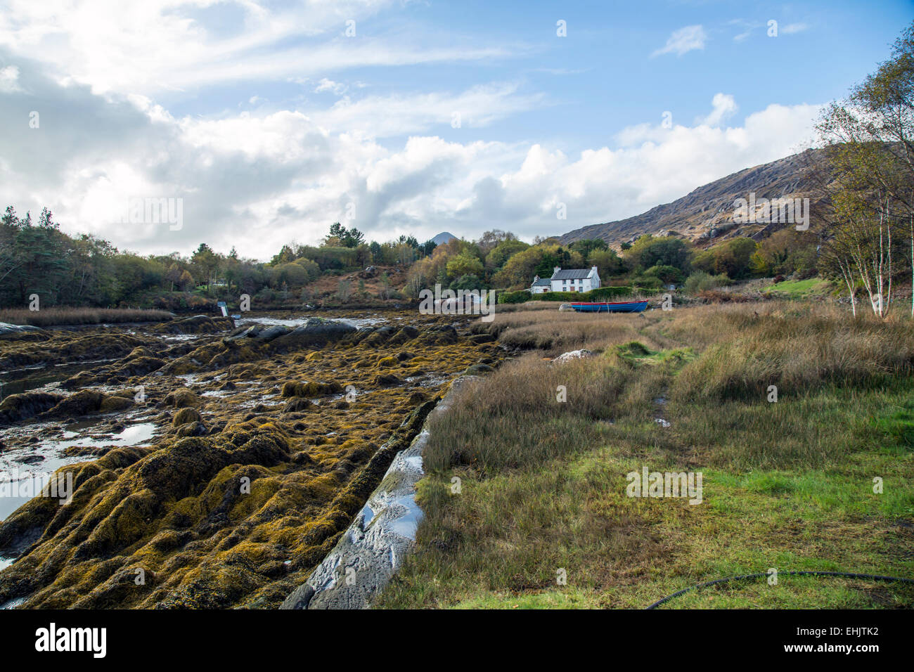 Glengarriff West Cork in Irlanda Foto Stock