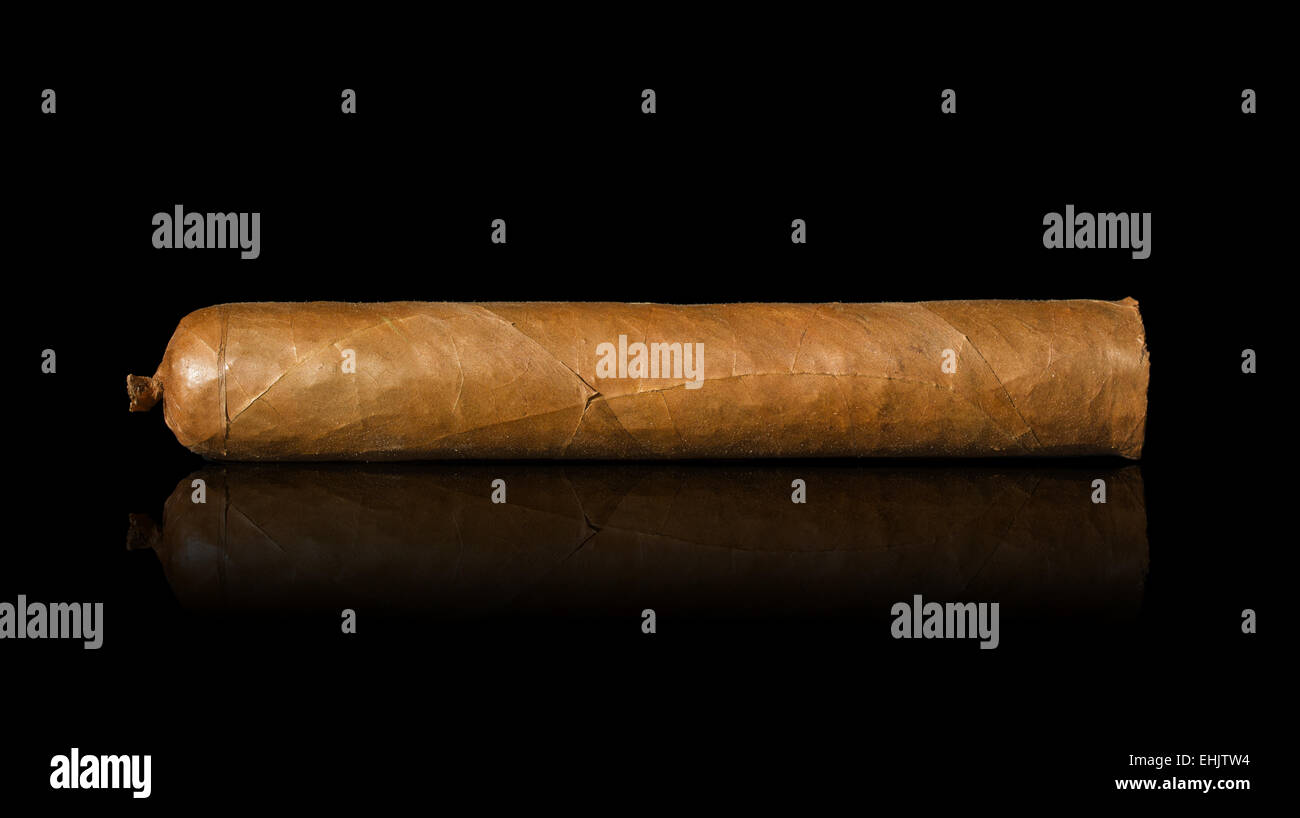 Un grande ed esclusivo sigaro cubano su sfondo nero. Foto Stock