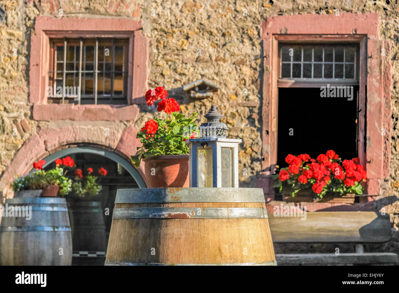 Grande Barile di legno con fiori di decorazione su un vigneto nel Rheingau, Germania Foto Stock