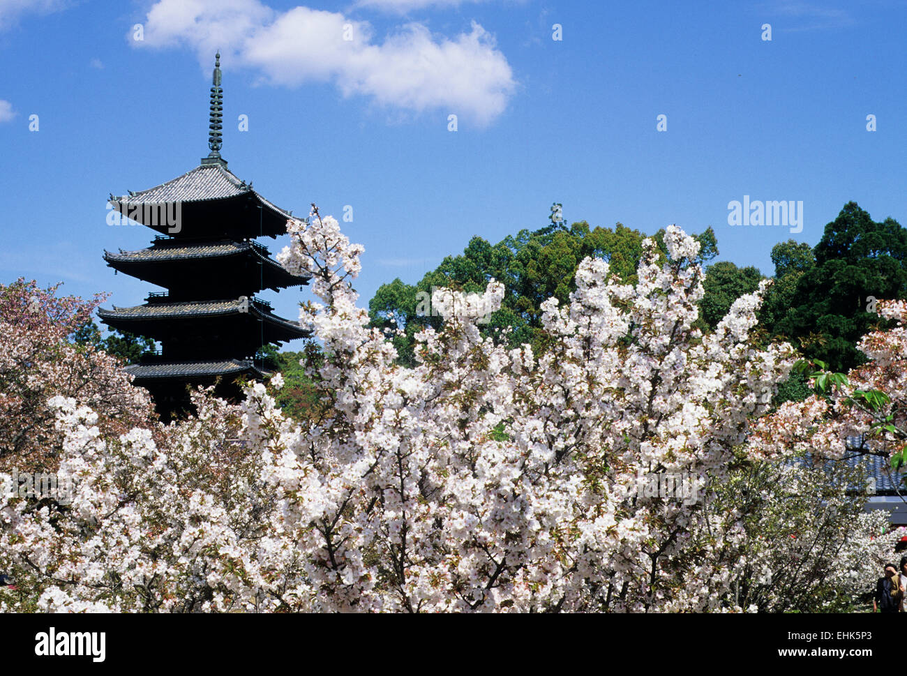 La città di Kyoto è una riserva unica per gli antichi giardini Zen e santuari che sono oltre nove cento anni. Foto Stock