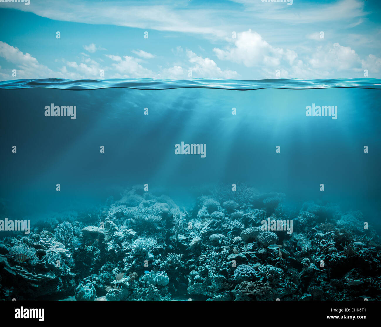 Mare o oceano profondo subacqueo sullo sfondo della natura Foto Stock