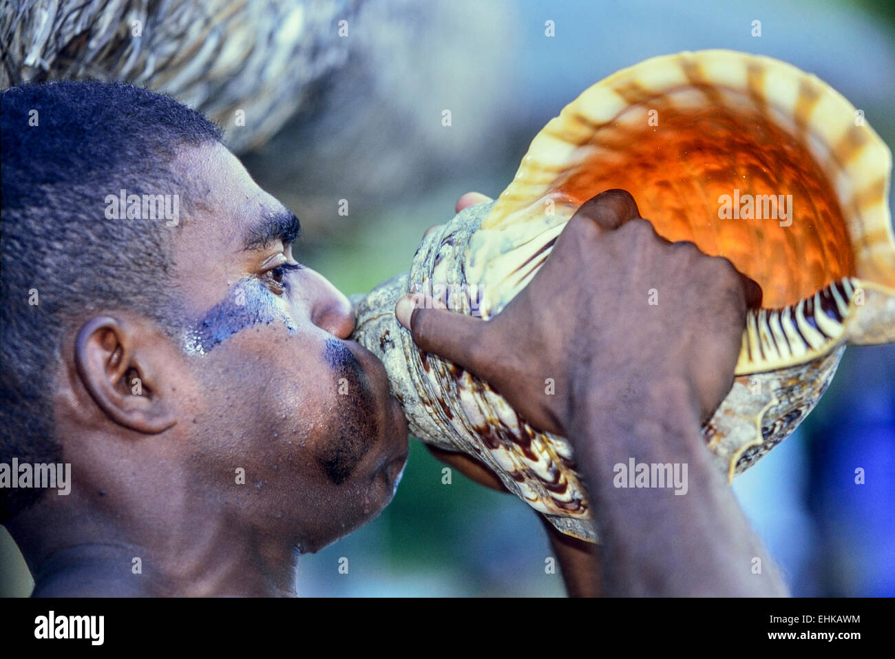 Soffiatura delle Fiji un 'Davui' (conchiglia tromba). Isole Figi. Sud Pacifico Foto Stock