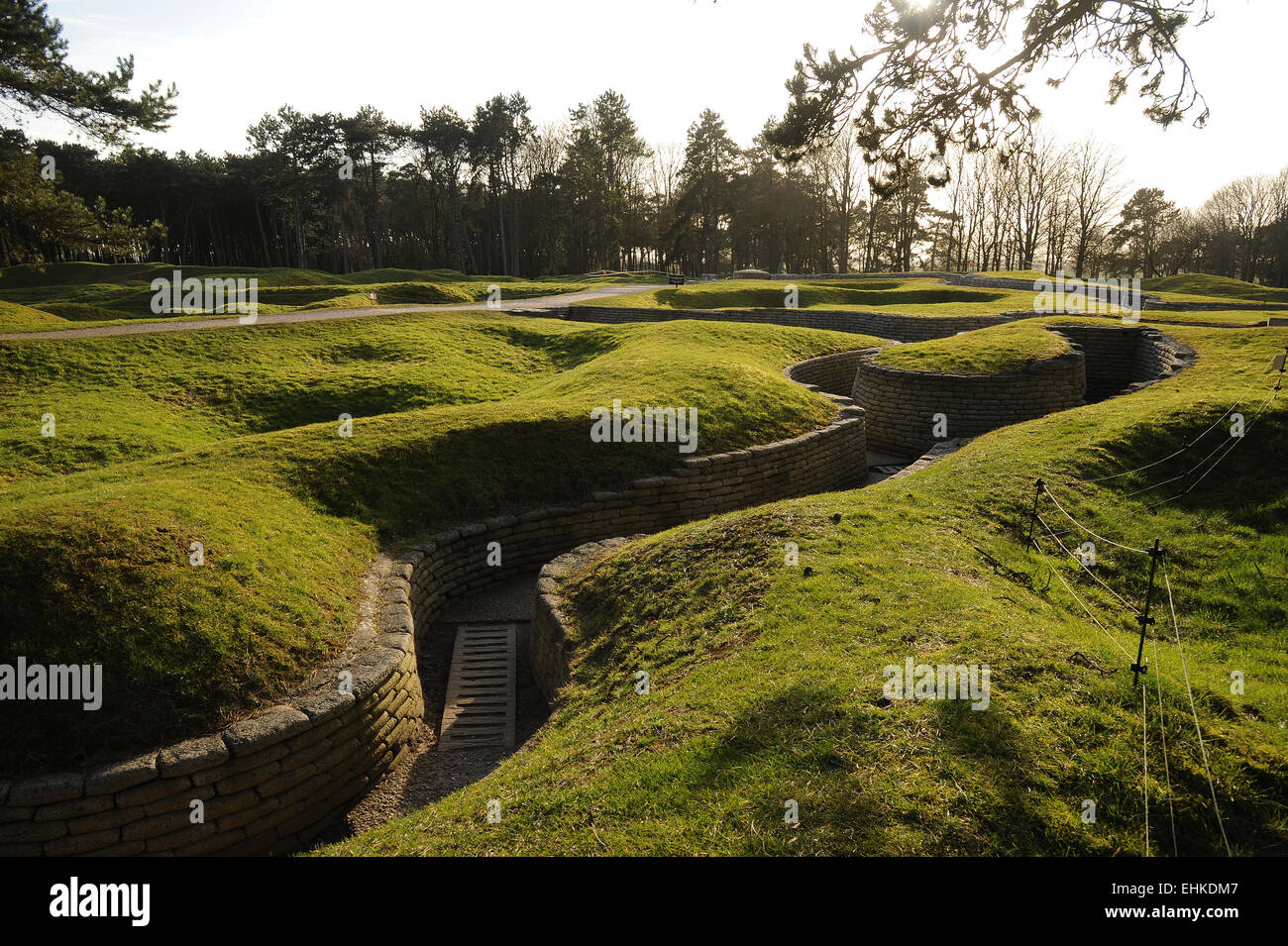 Il guscio di fori e trincee paesaggio di WW1 battlefield a Vimy Ridge, Belgio Foto Stock