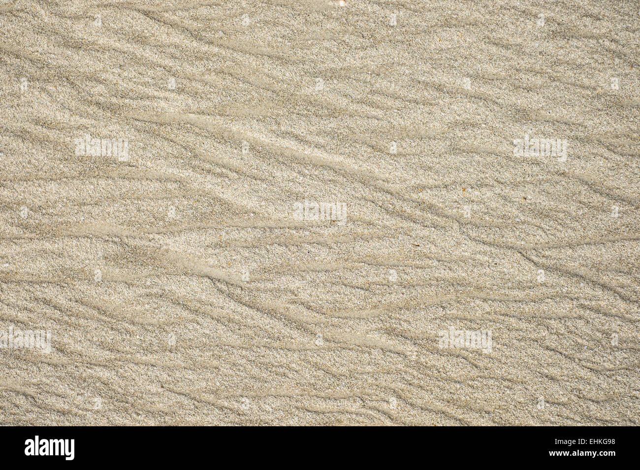 Texture di sabbia sulla spiaggia, con disegni realizzati dal mare. Foto Stock