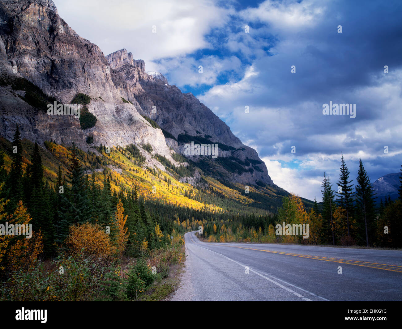 Versante con la caduta di colore alberi di Aspen e strada. Il Parco Nazionale di Banff, Alberta, Canada Foto Stock