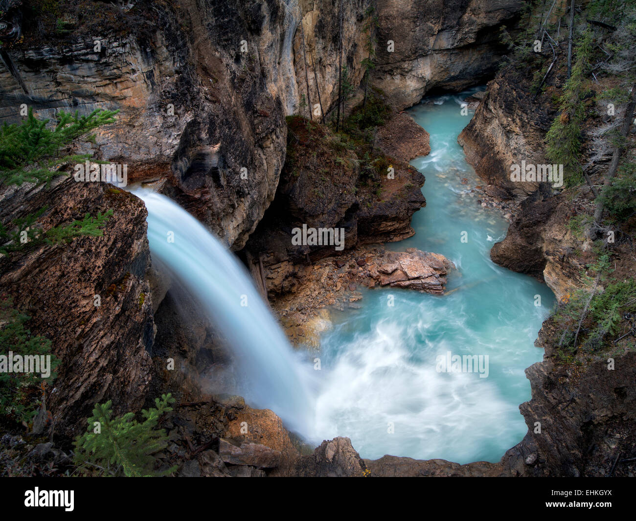 Stanely cade, bellezza Creek, il Parco Nazionale di Jasper, Alberta Canada Foto Stock