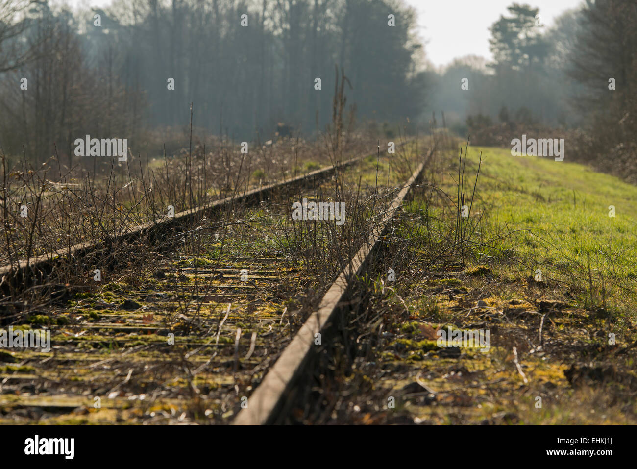 Vecchia linea ferroviaria "Corso Borkense' in prossimità del confine con la Germania nel comune di Winterswijk Foto Stock