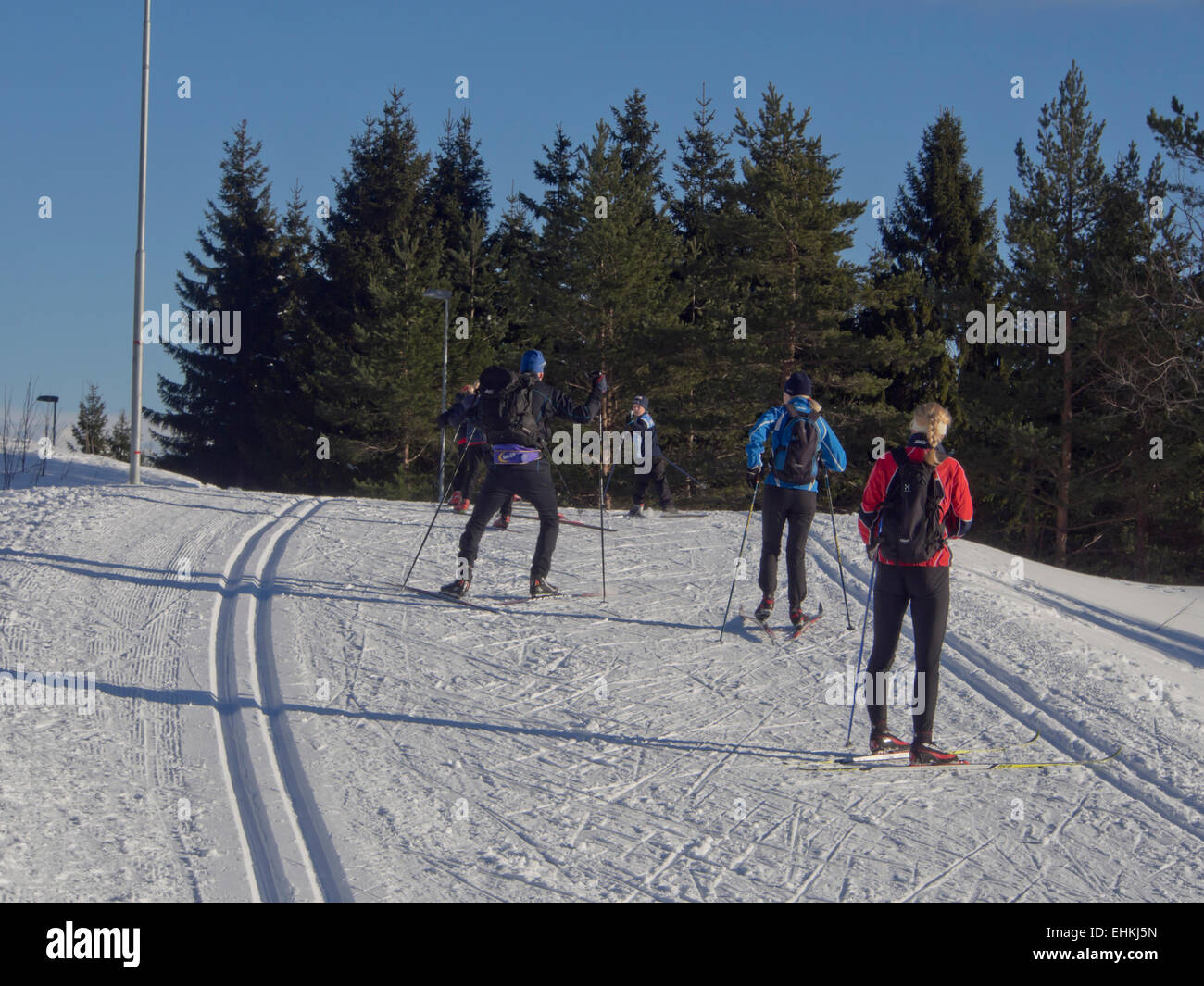 Un inverno pieno di sole domenica nelle piste da sci in Nordmarka, Oslo Norvegia, sciatori voce nel bosco Foto Stock