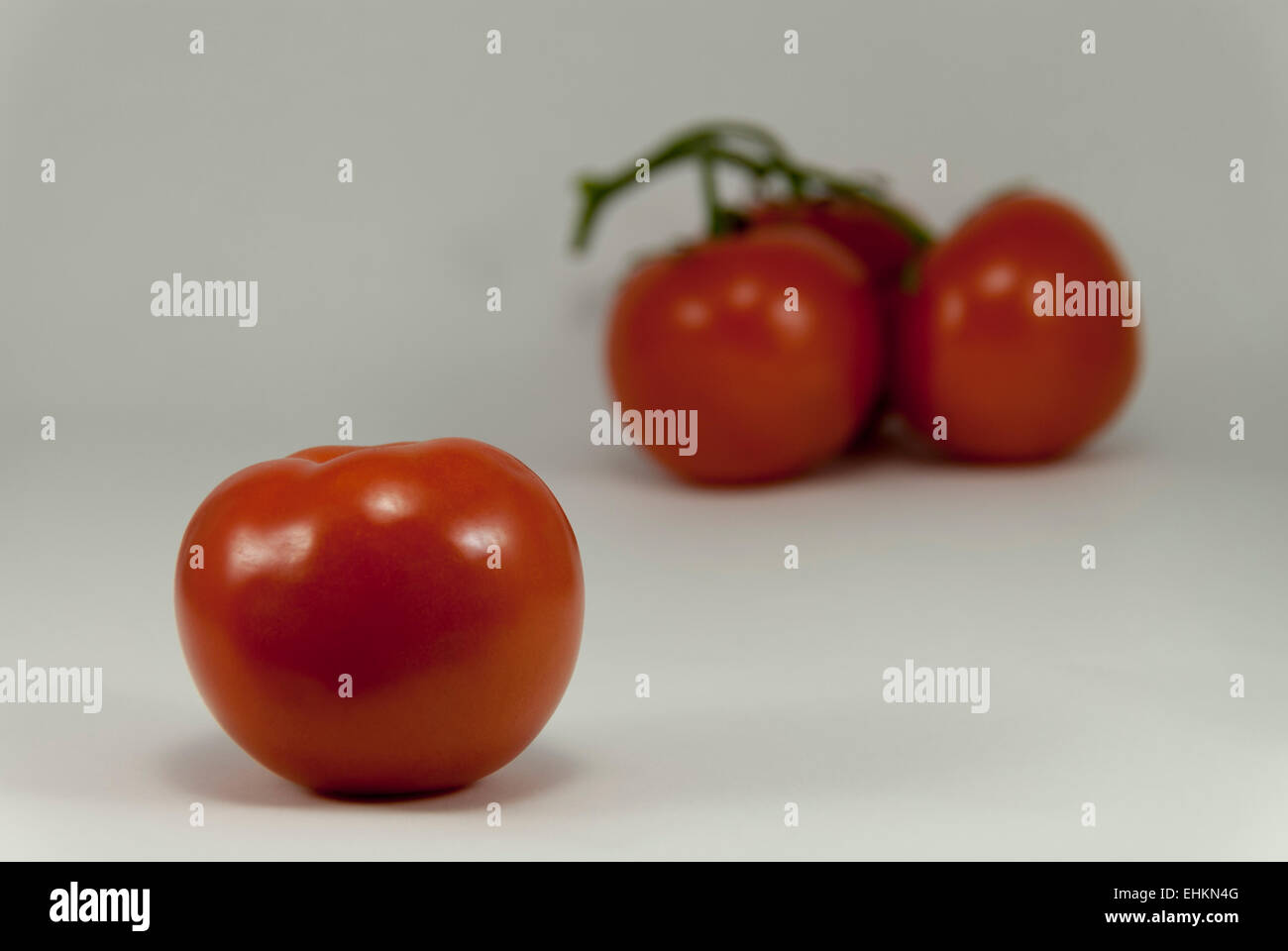 Single mature plump pomodoro rosso sostenuta da sfocato raggruppamento di tre pomodori con sfondo bianco. Foto Stock