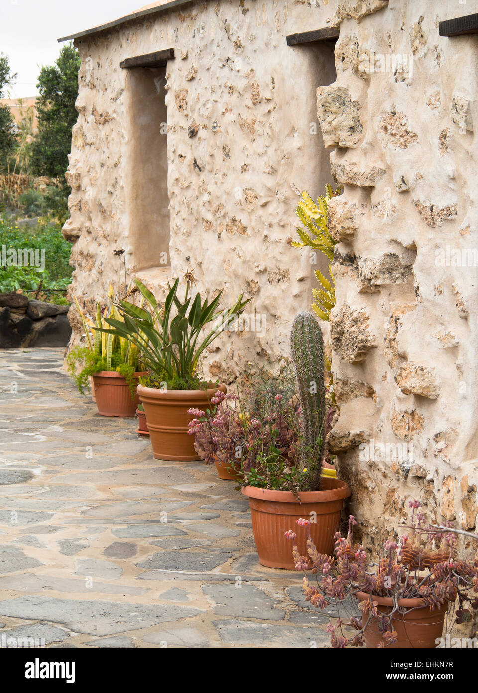 Tradizionale casa di campagna a parete con vasi di piante e di un patio, Fuerteventura, Isole Canarie Spagna Foto Stock