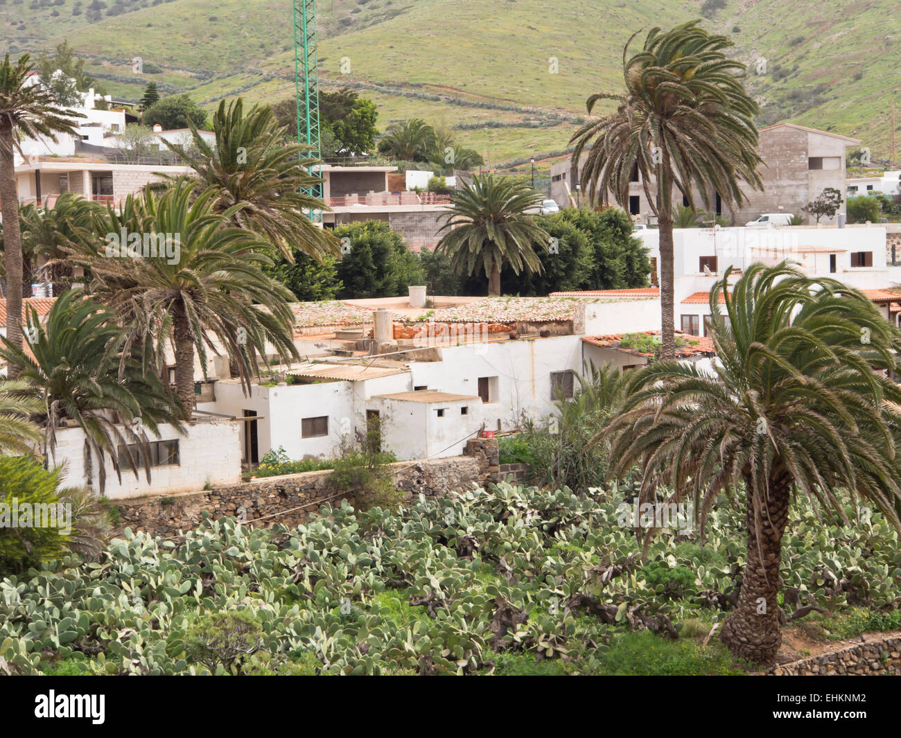 Betancuria una piccola città di Fuerteventura, Isole Canarie, ex capitale, risalente al 1404, bassa tradizionalmente costruite abitazioni Foto Stock